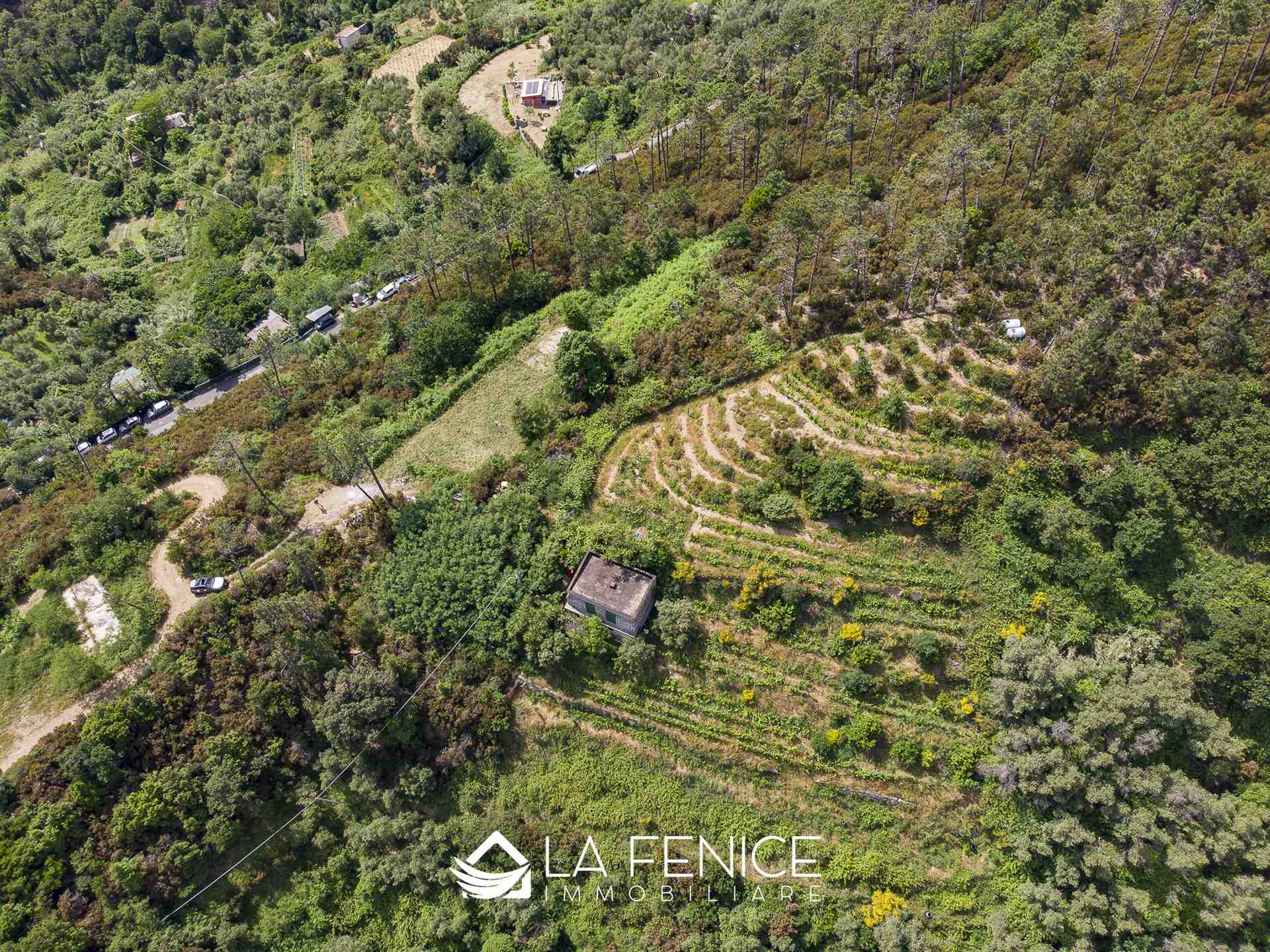 Villa a Monterosso al mare con 6 locali di 40 m2 - Foto