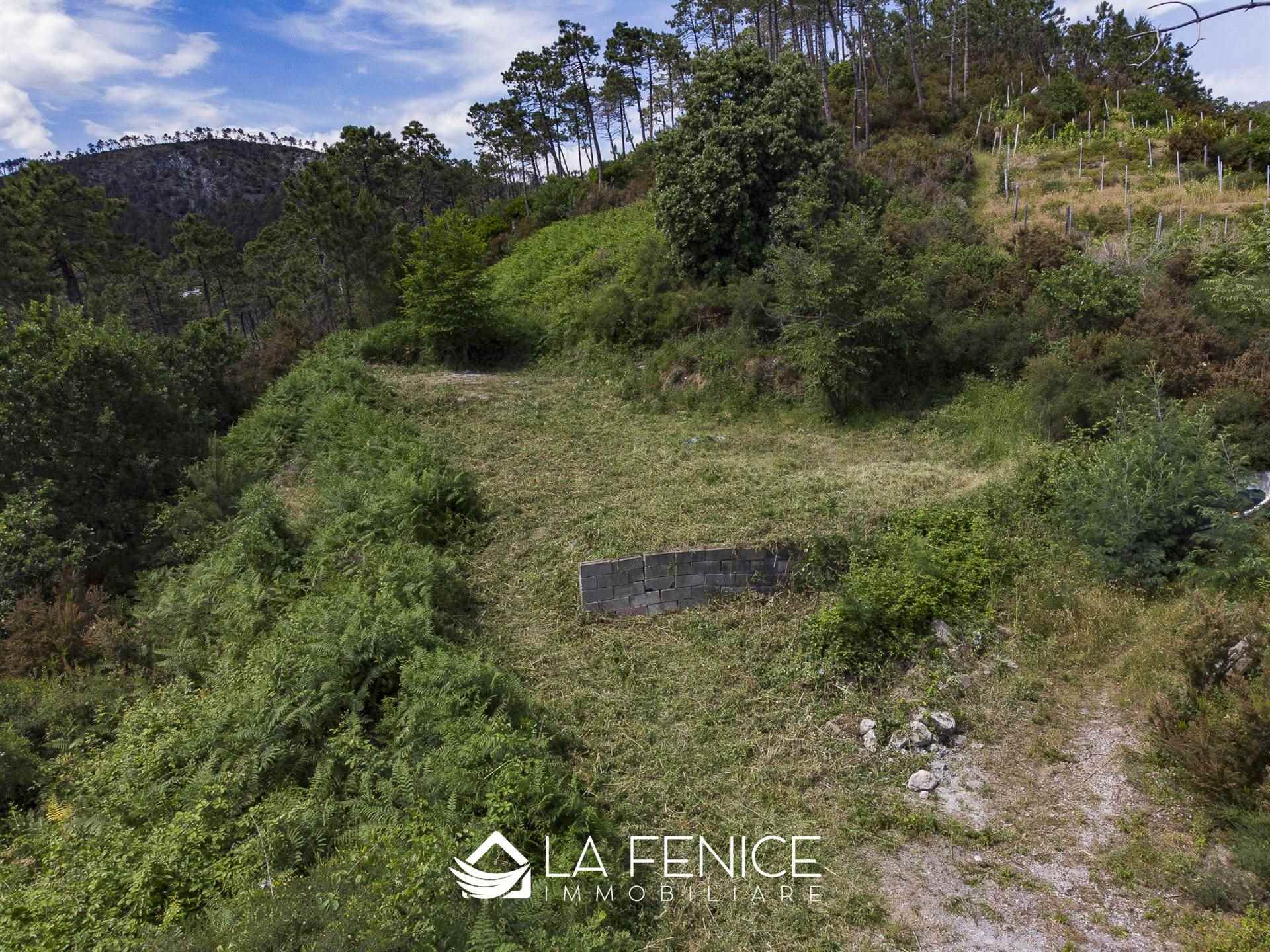 Villa a Monterosso al mare con 6 locali di 40 m2 - Foto