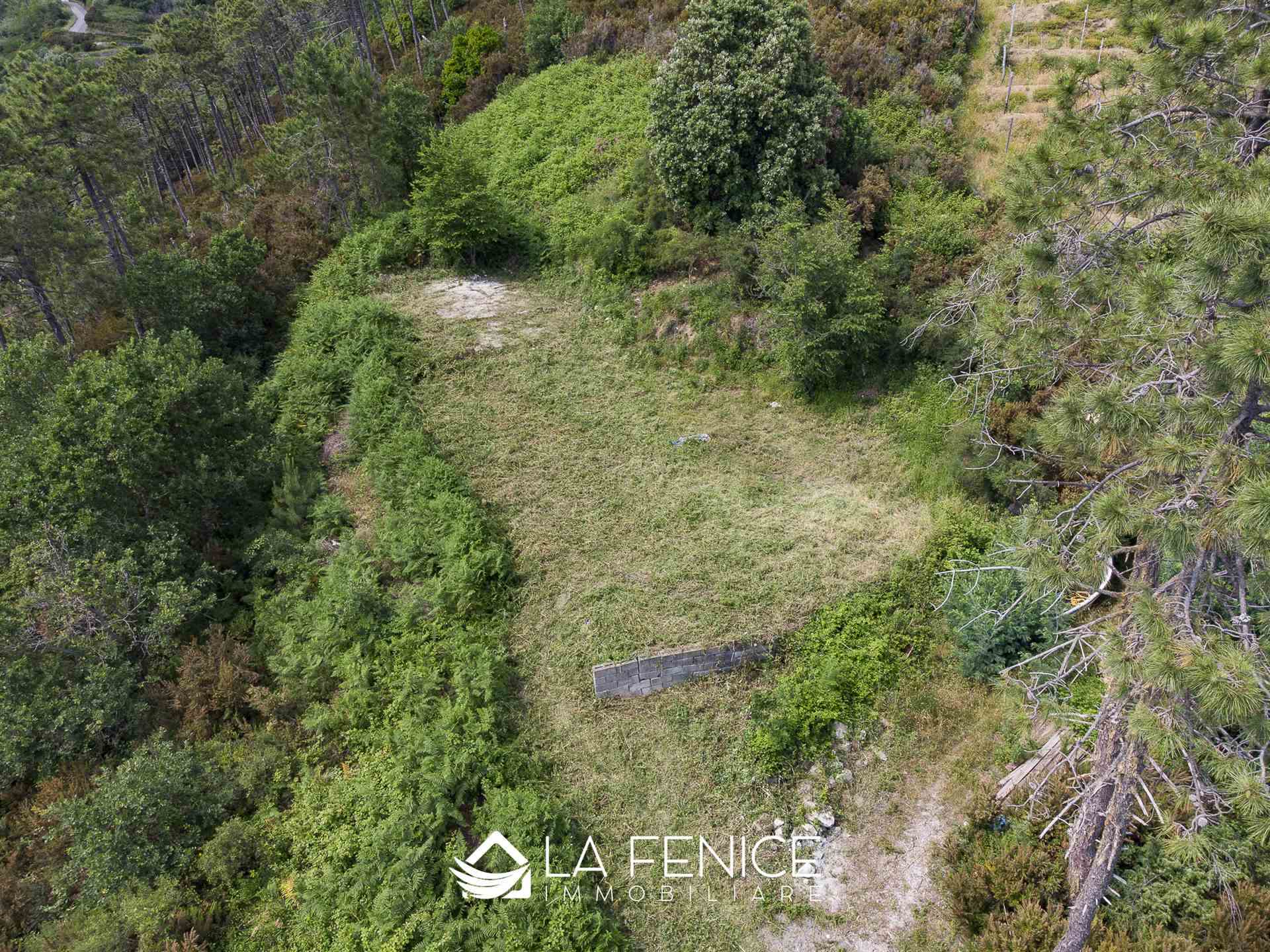 Villa a Monterosso al mare con 6 locali di 40 m2 - Foto