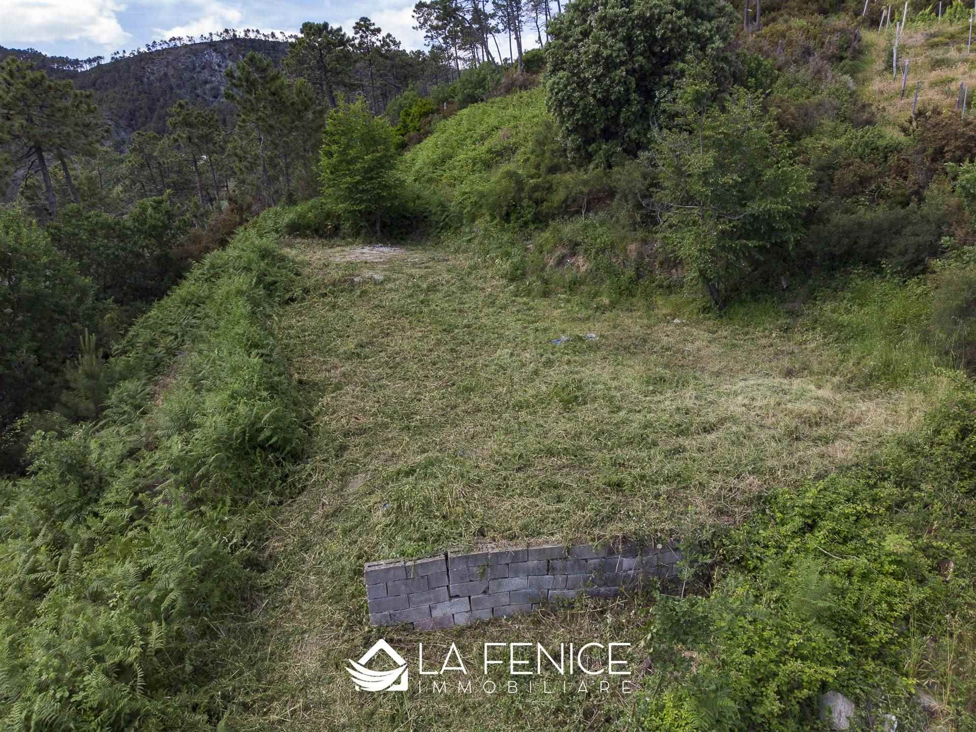 Villa a Monterosso al mare con 6 locali di 40 m2 - Foto