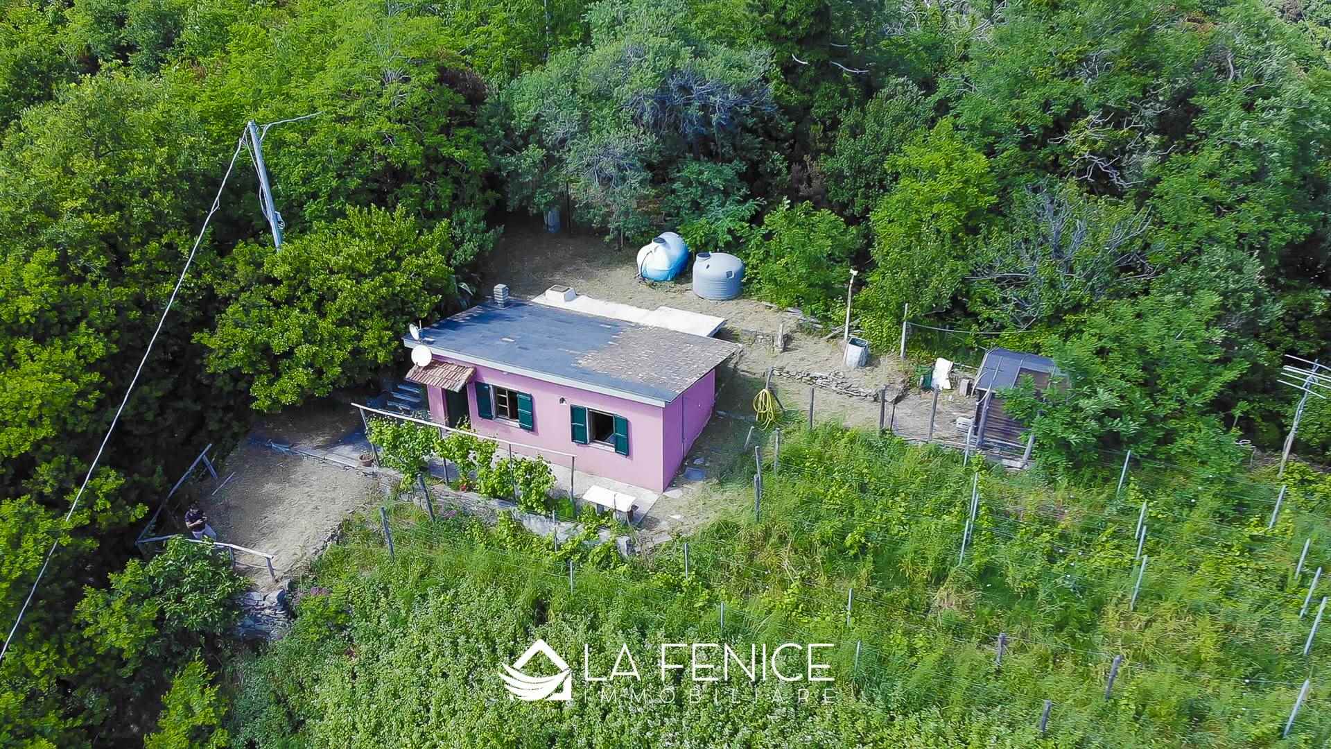 Villa a Monterosso al mare con 6 locali di 40 m2 - Foto