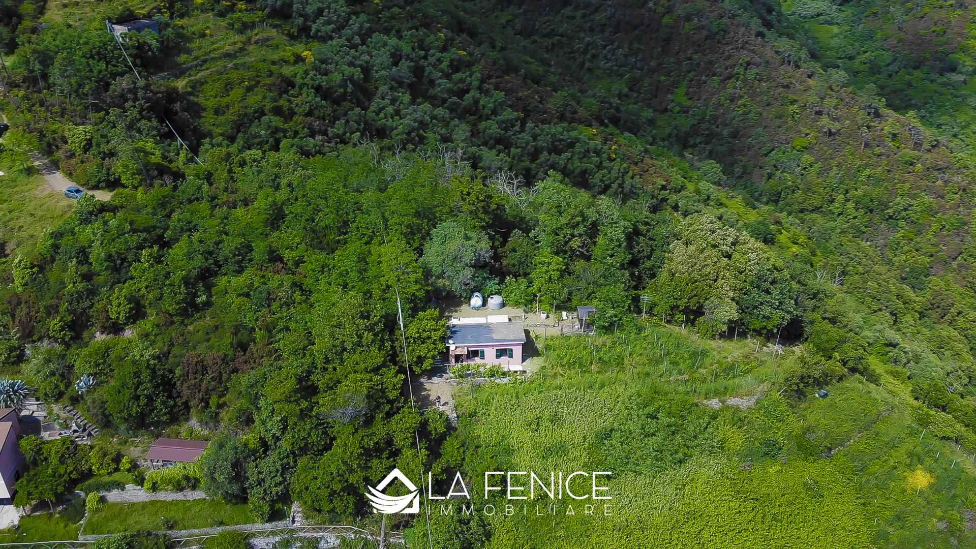 Villa a Monterosso al mare con 6 locali di 40 m2 - Foto