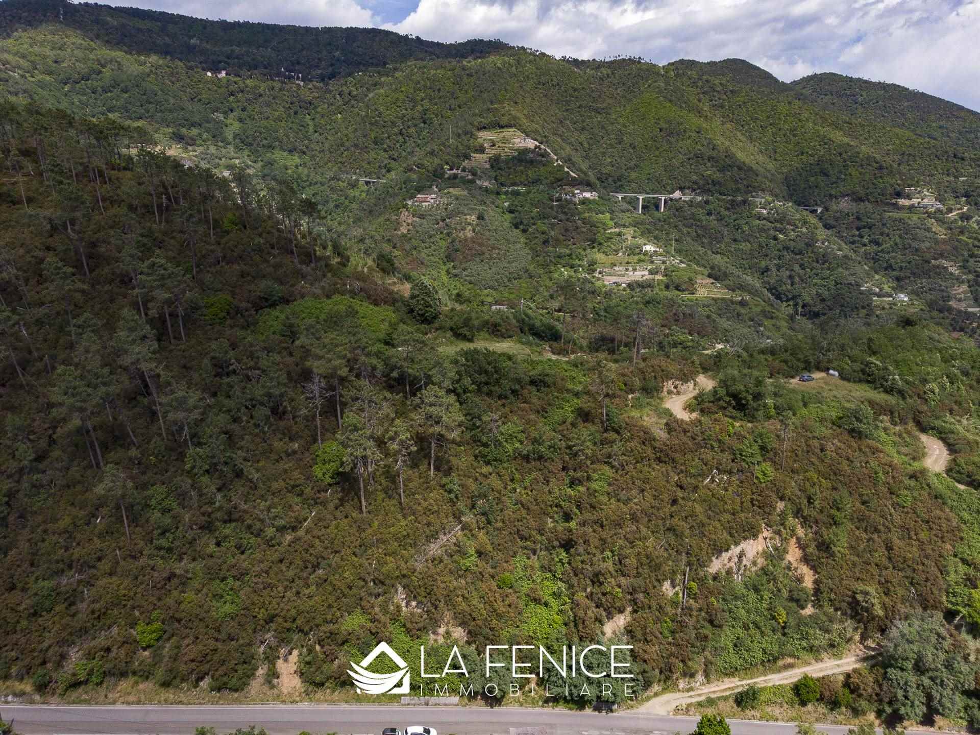 Villa a Monterosso al mare con 6 locali di 40 m2 - Foto