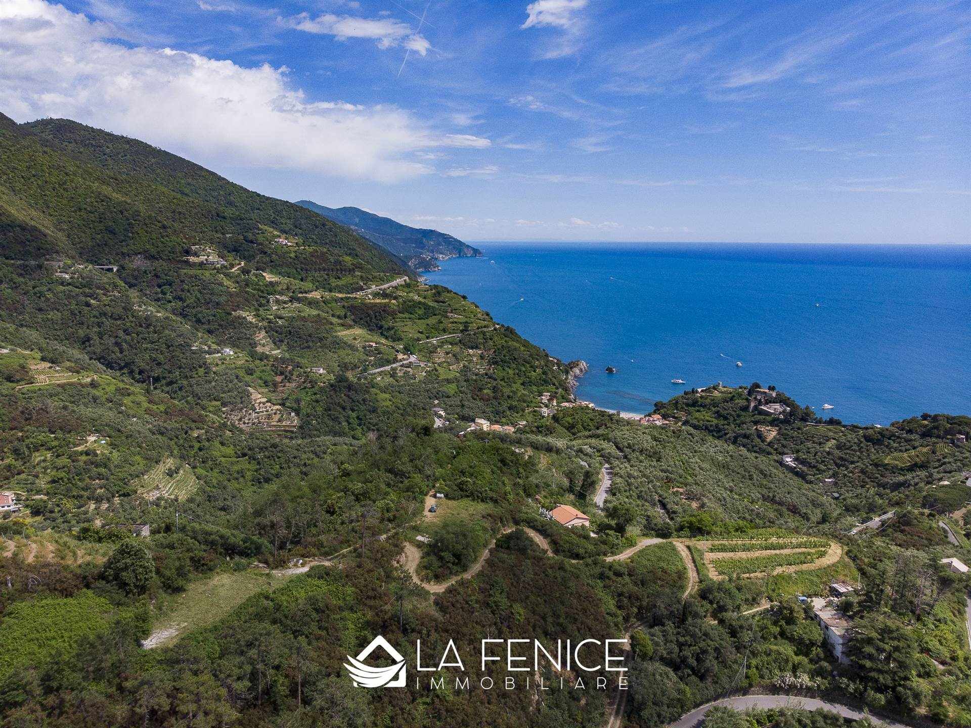 Villa a Monterosso al mare con 6 locali di 40 m2 - Foto