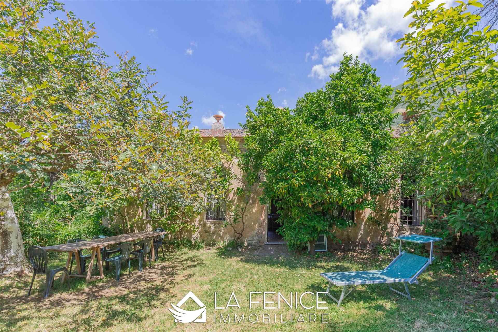 Villa a Camaiore con 20 locali di 790 m2 - Foto