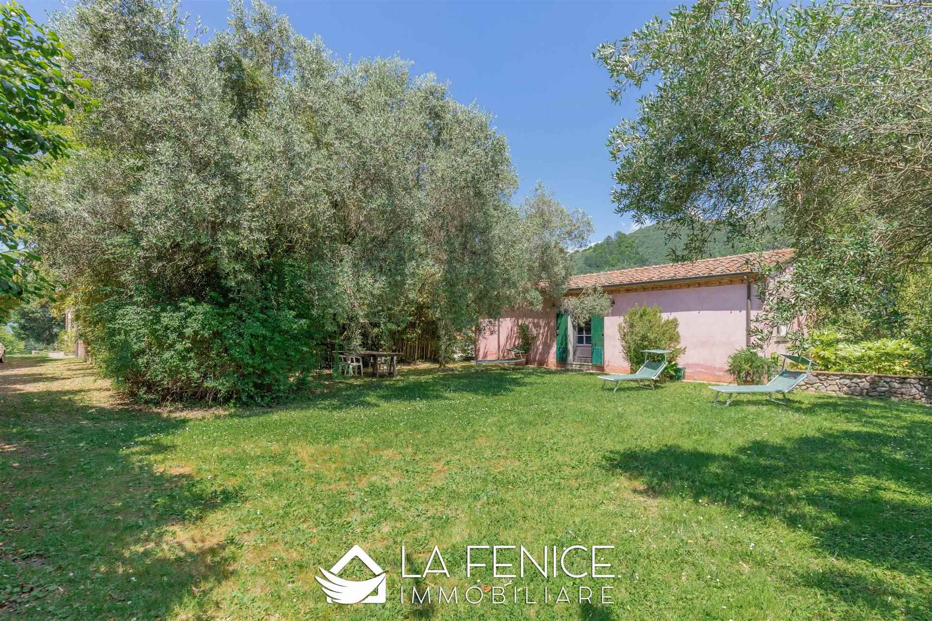 Villa a Camaiore con 20 locali di 790 m2 - Foto