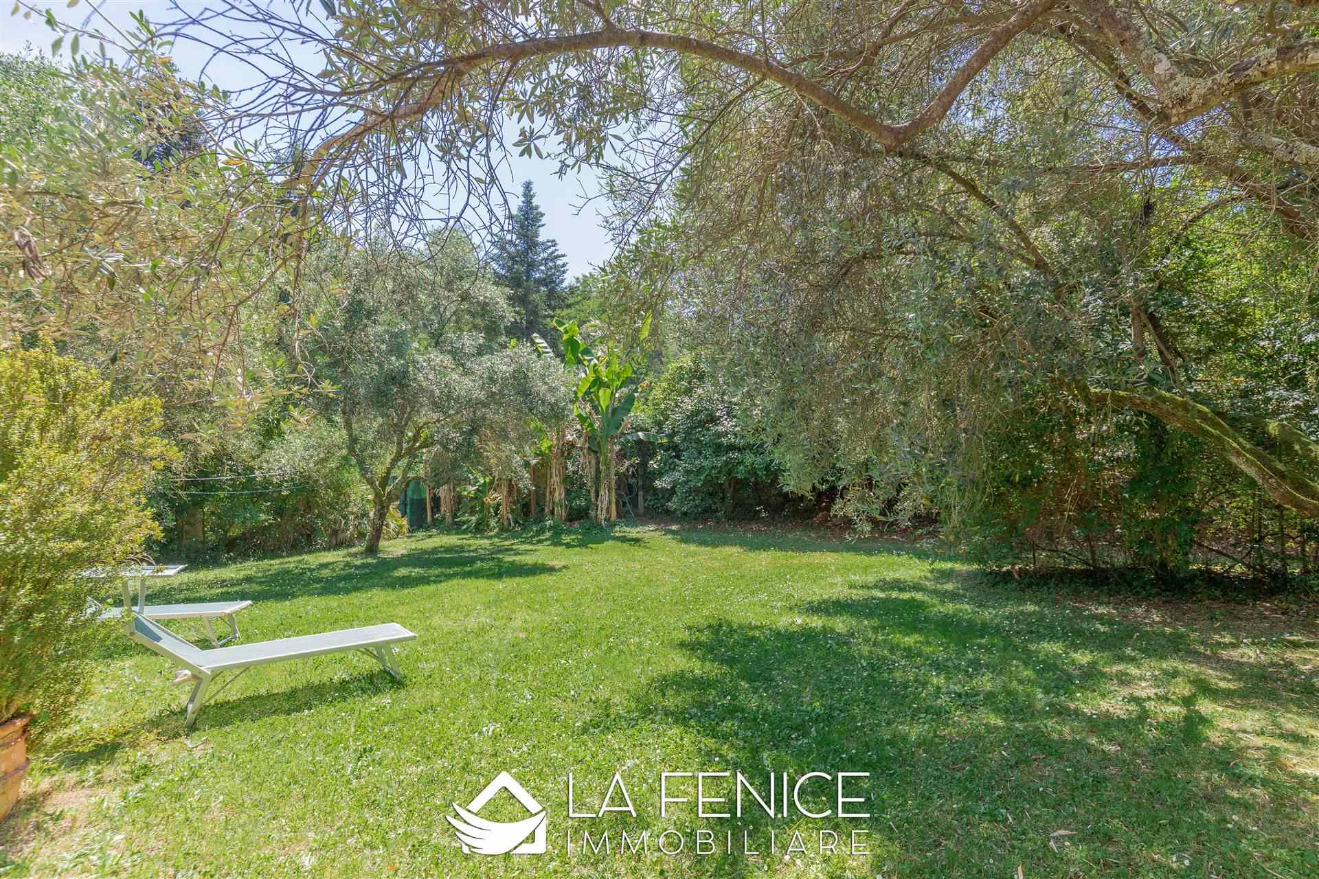 Villa a Camaiore con 20 locali di 790 m2 - Foto