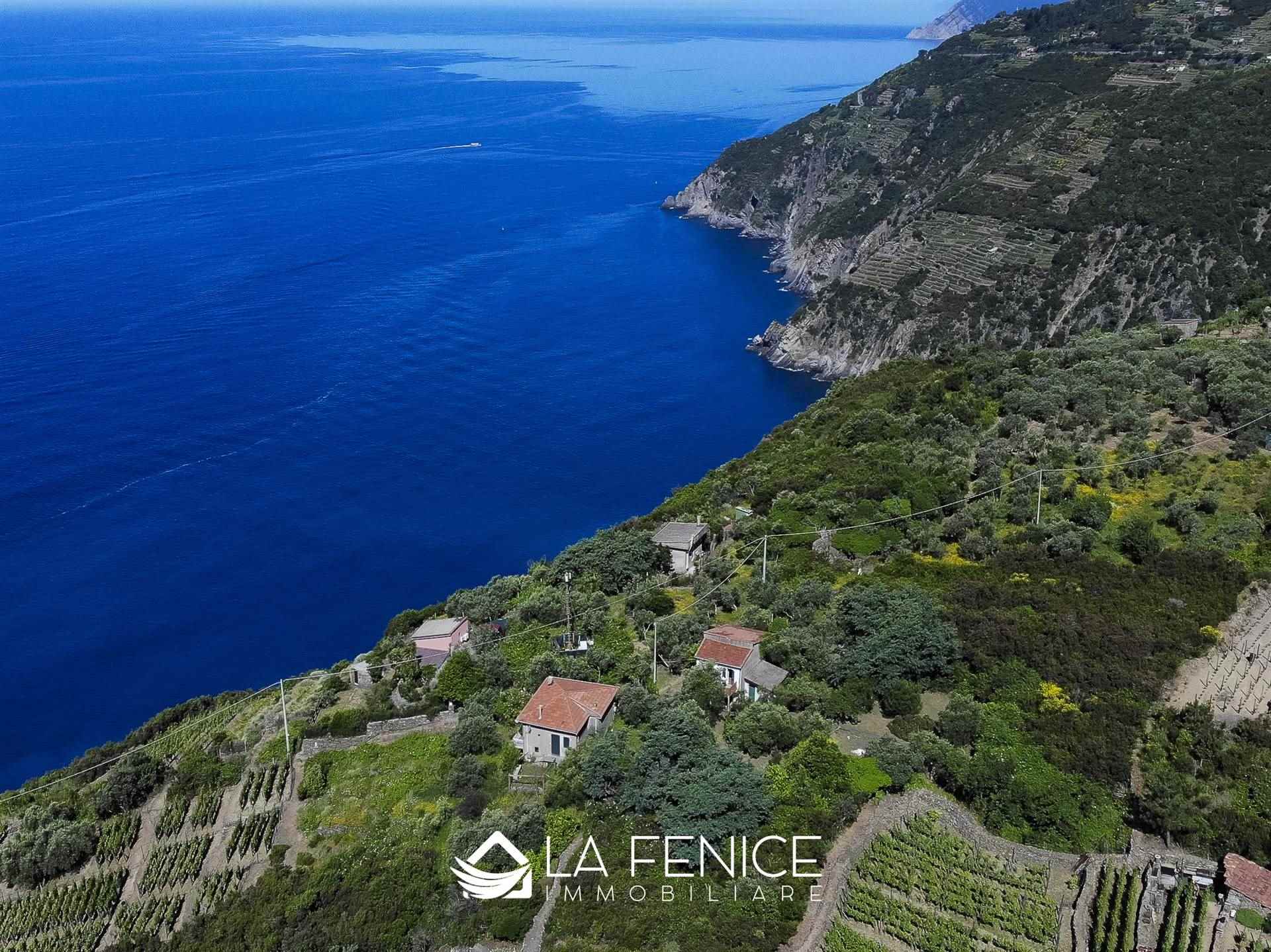 Rustico casale a Riomaggiore con 3 locali di 60 m2 - Foto