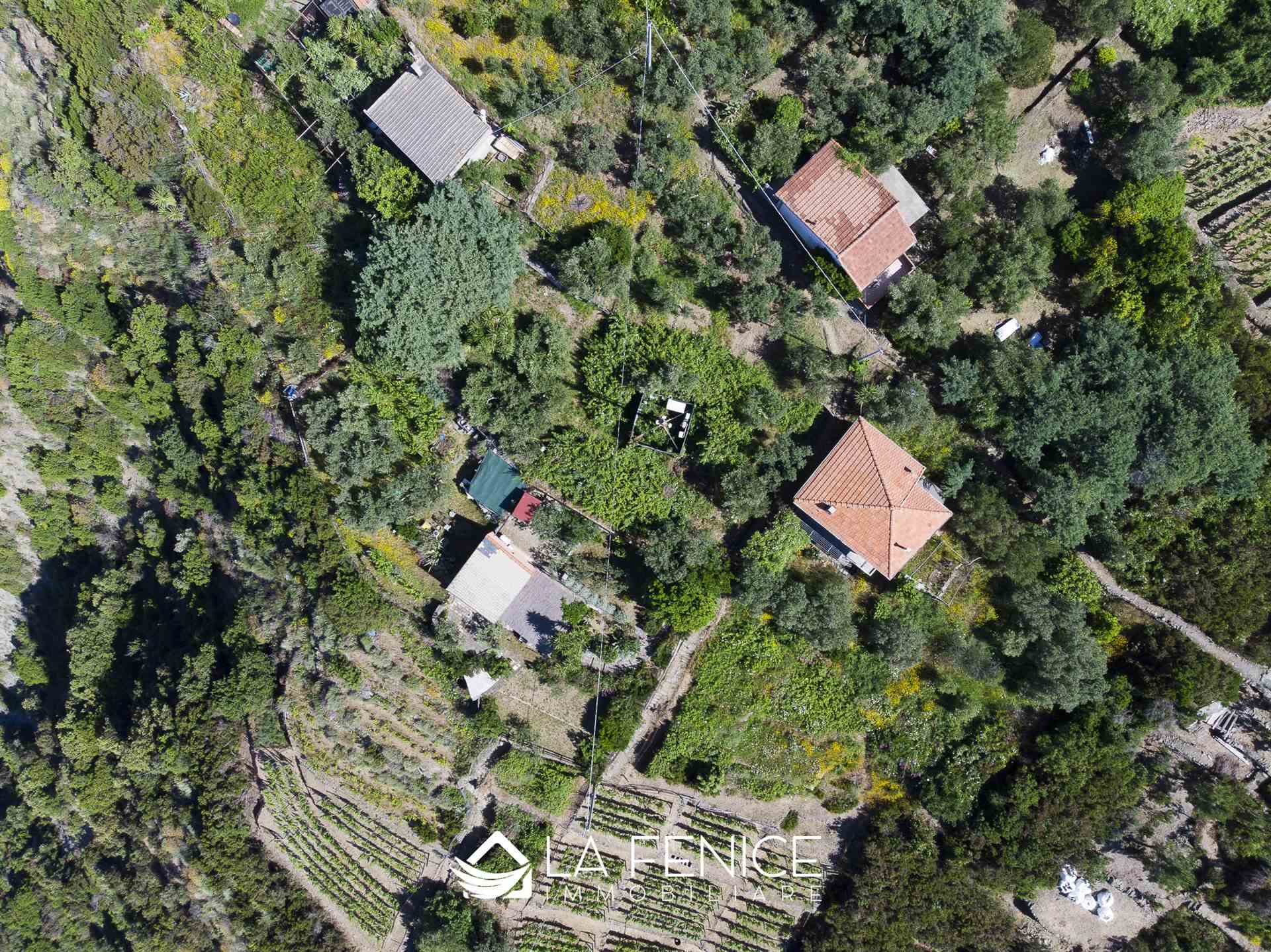 Rustico casale a Riomaggiore con 3 locali di 60 m2 - Foto