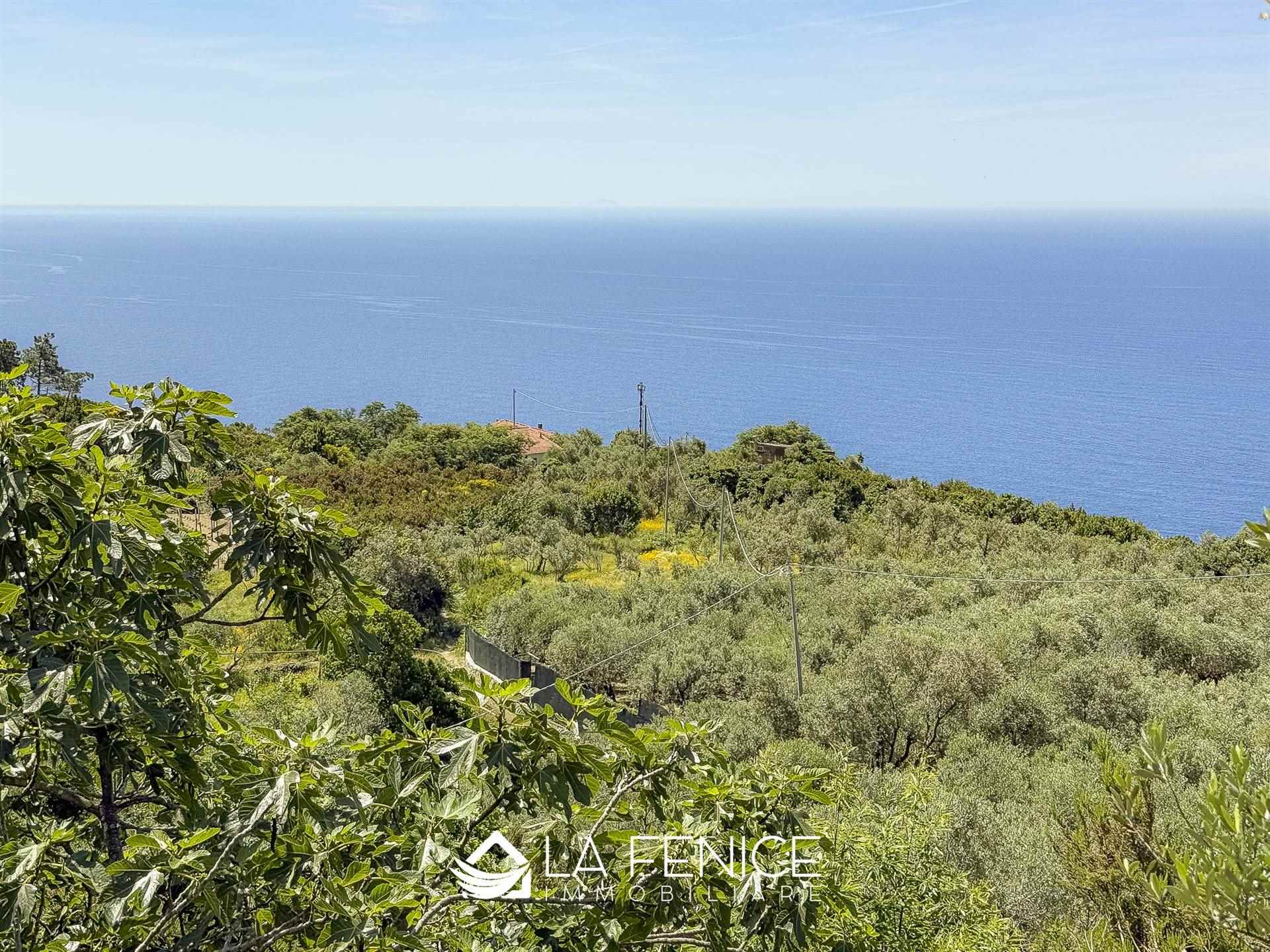 Rustico casale a Riomaggiore con 3 locali di 60 m2 - Foto