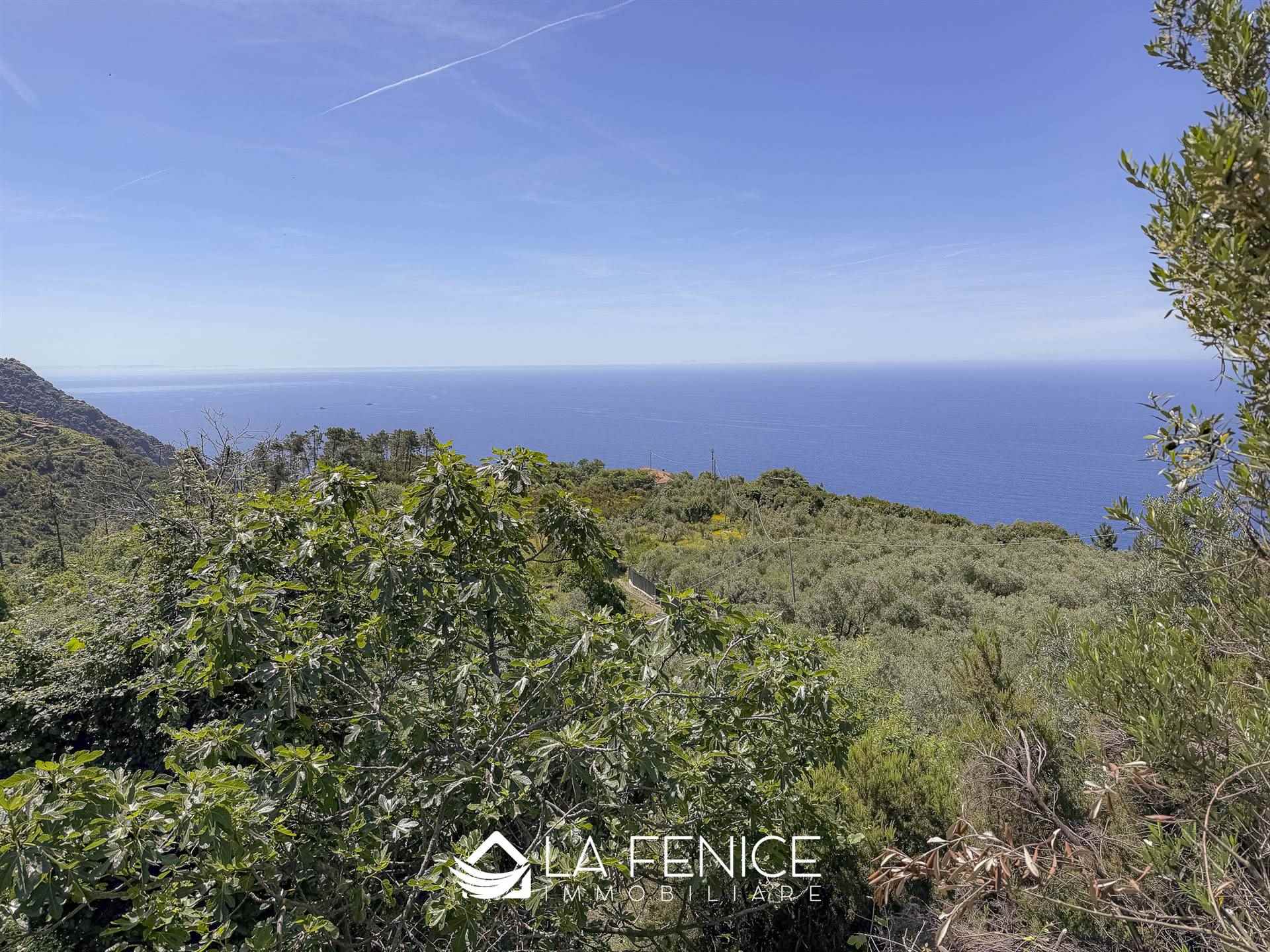 Rustico casale a Riomaggiore con 3 locali di 60 m2 - Foto