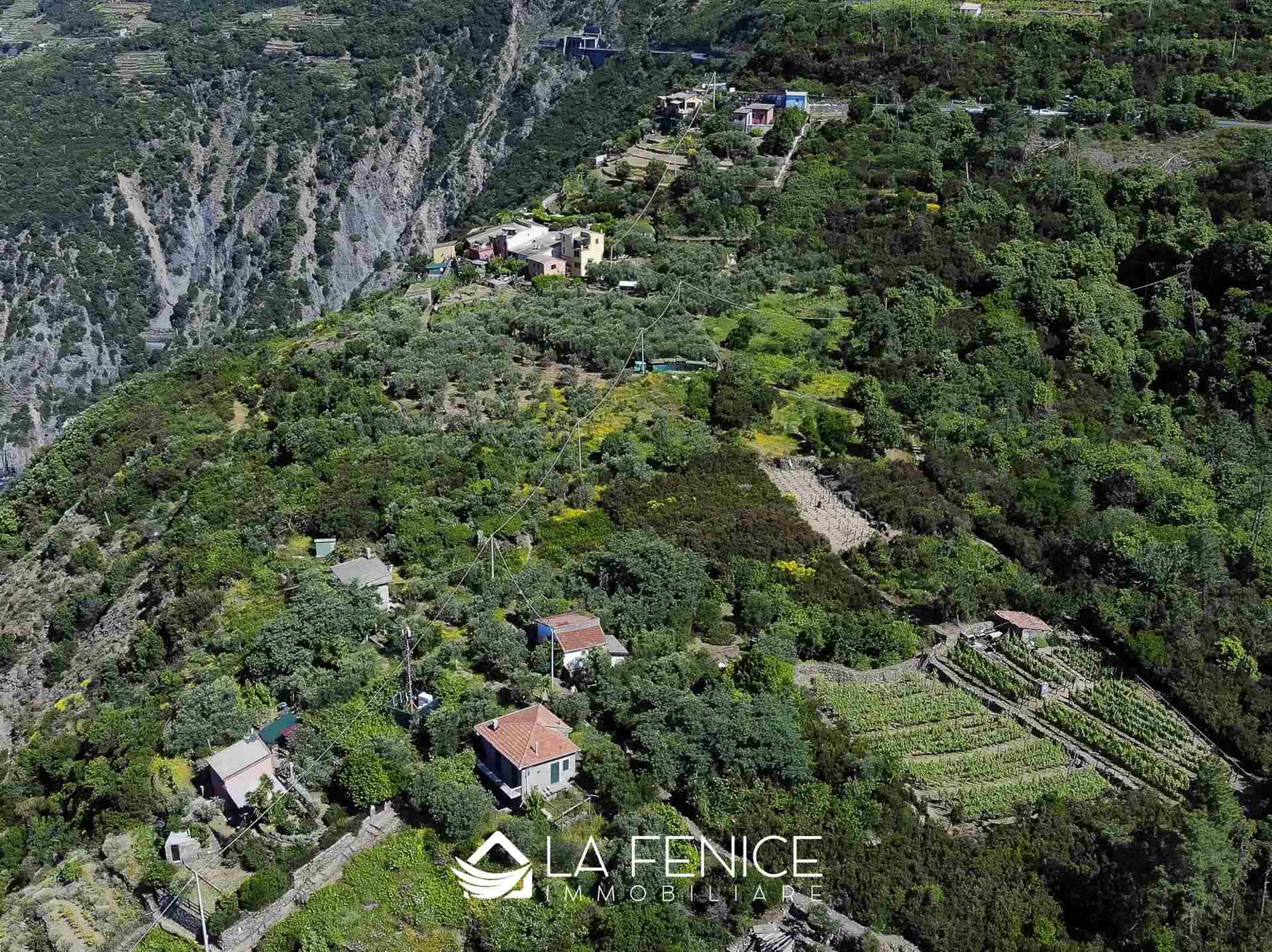 Rustico casale a Riomaggiore con 3 locali di 60 m2 - Foto