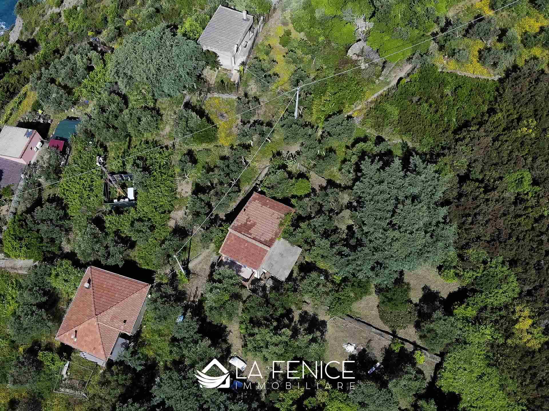 Rustico casale a Riomaggiore con 3 locali di 60 m2 - Foto