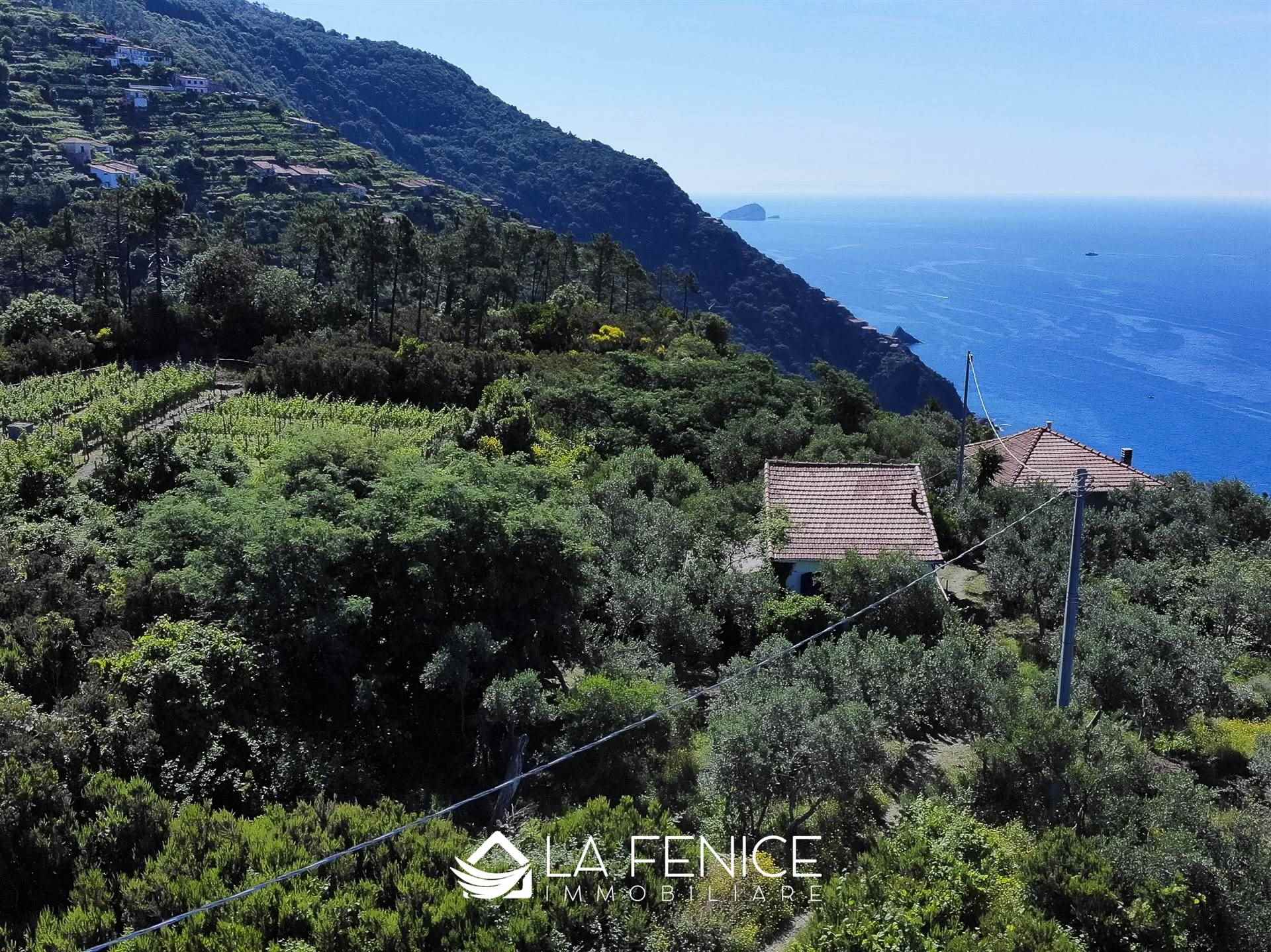 Rustico casale a Riomaggiore con 3 locali di 60 m2 - Foto