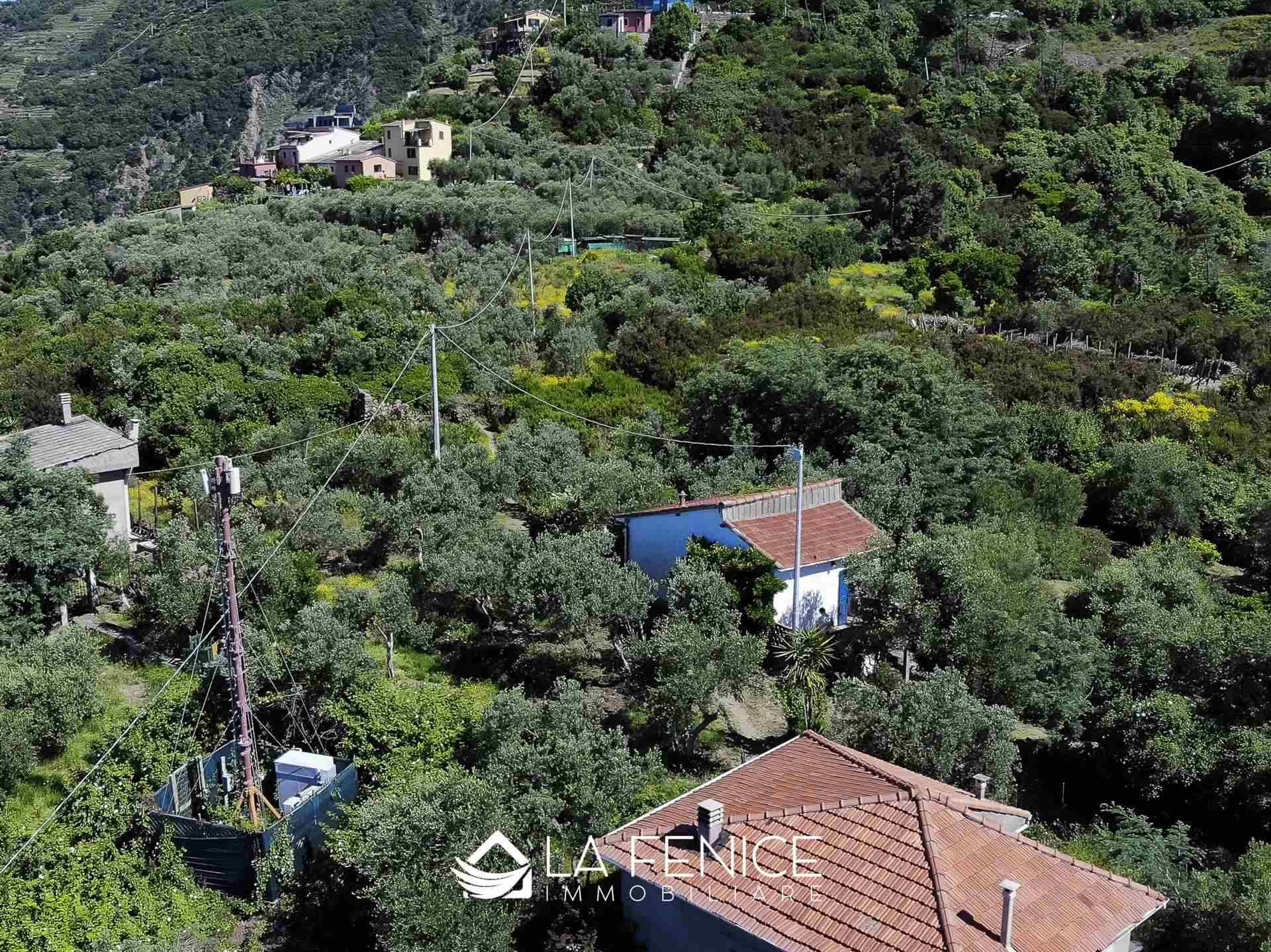 Rustico casale a Riomaggiore con 3 locali di 60 m2 - Foto