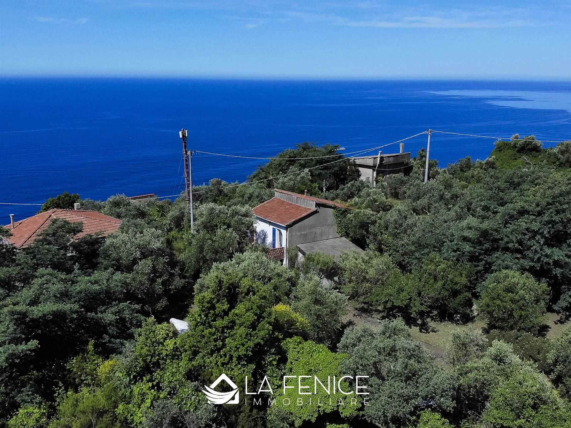 Rustico casale a Riomaggiore con 3 locali di 60 m2 - Foto