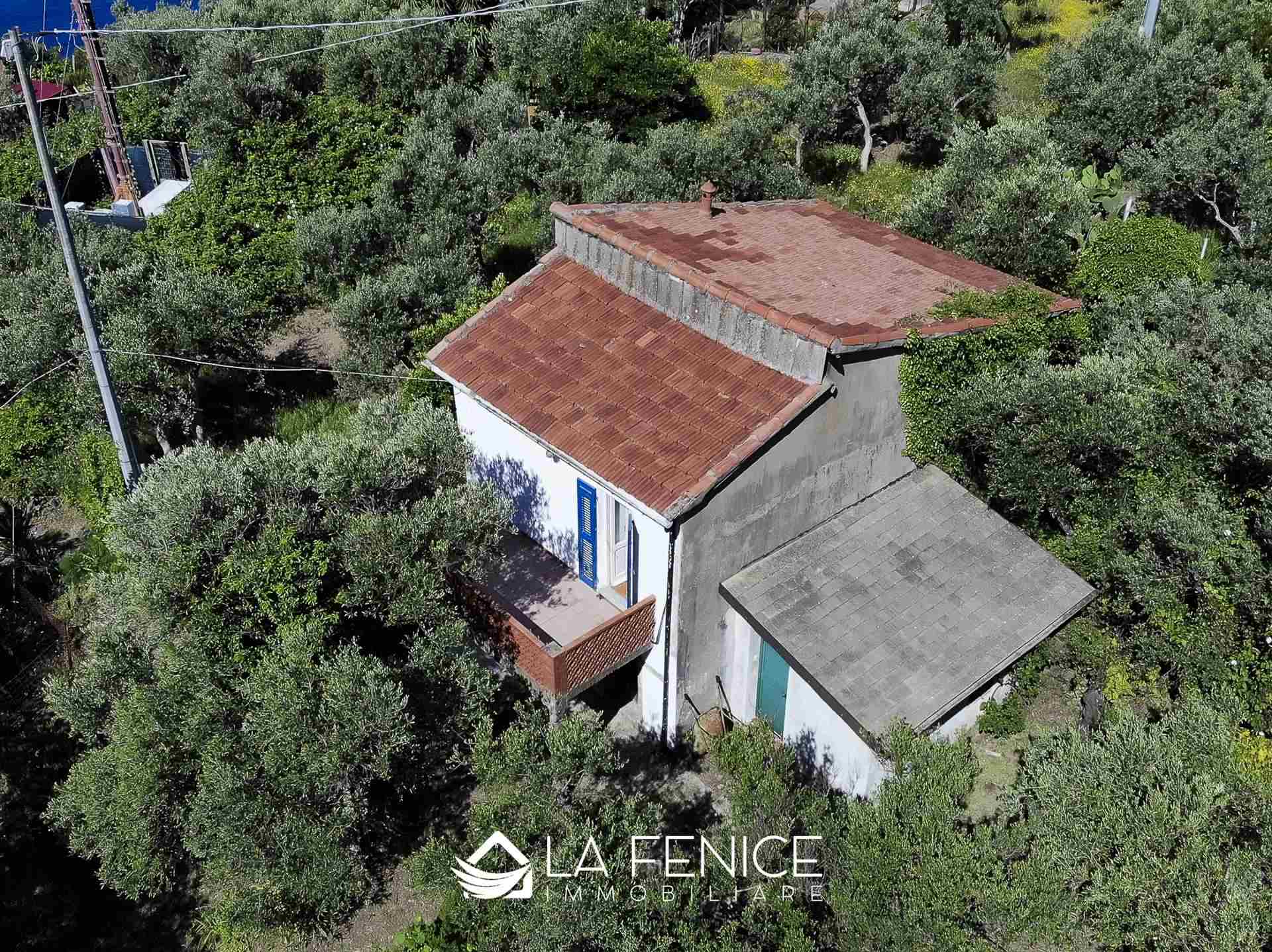 Rustico casale a Riomaggiore con 3 locali di 60 m2 - Foto