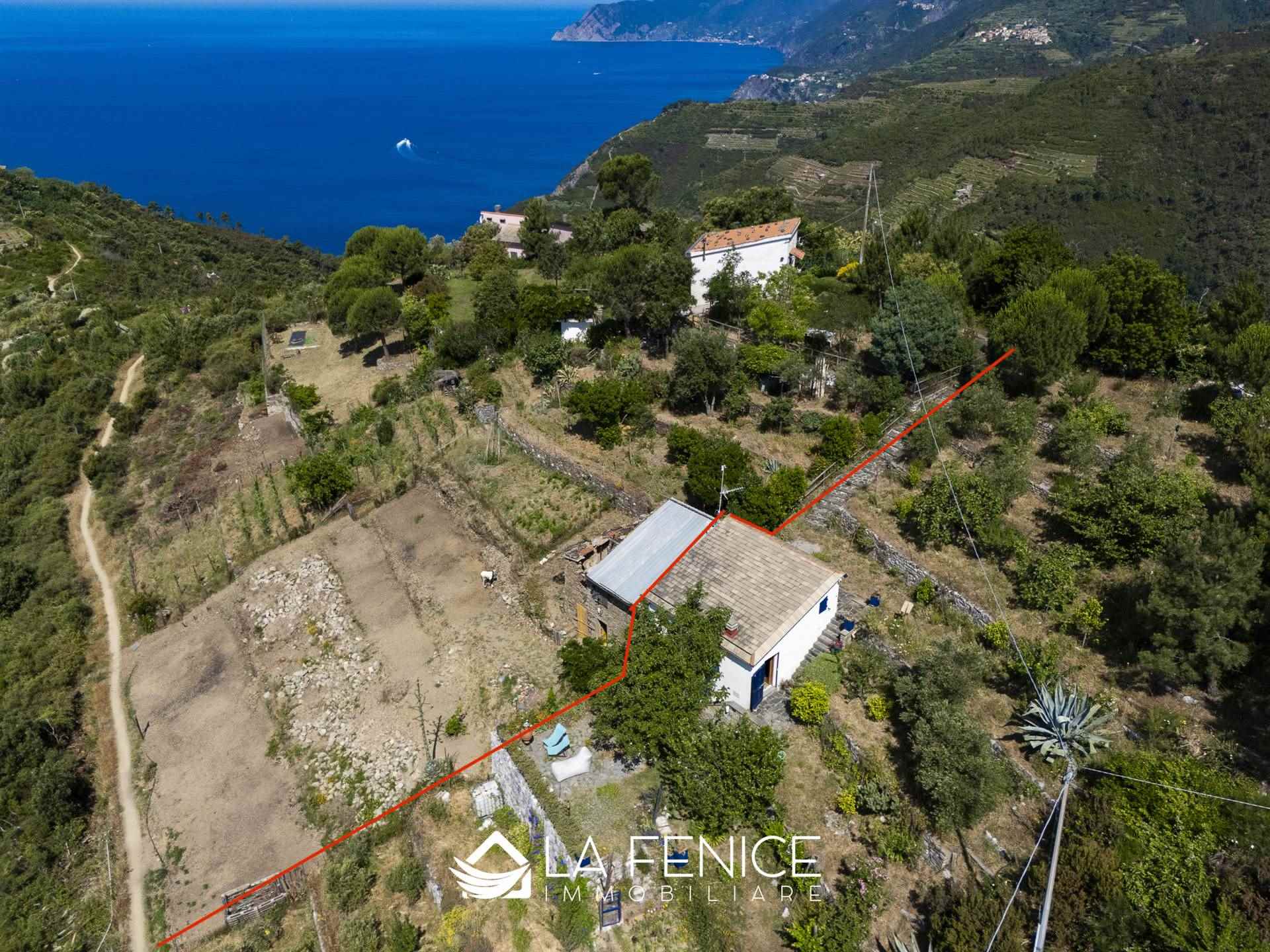 Rustico casale a Riomaggiore con 4 locali di 60 m2 - Foto