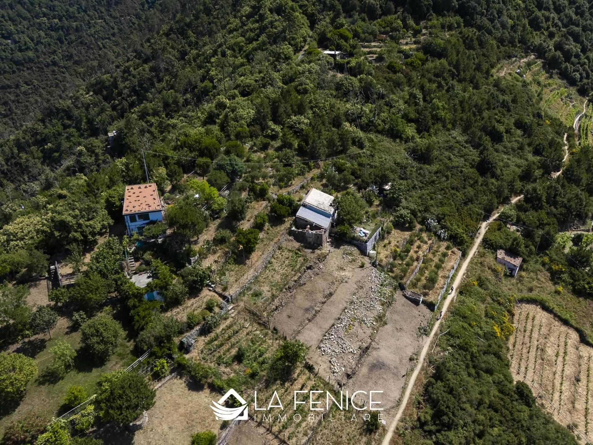 Rustico casale a Riomaggiore con 4 locali di 60 m2 - Foto