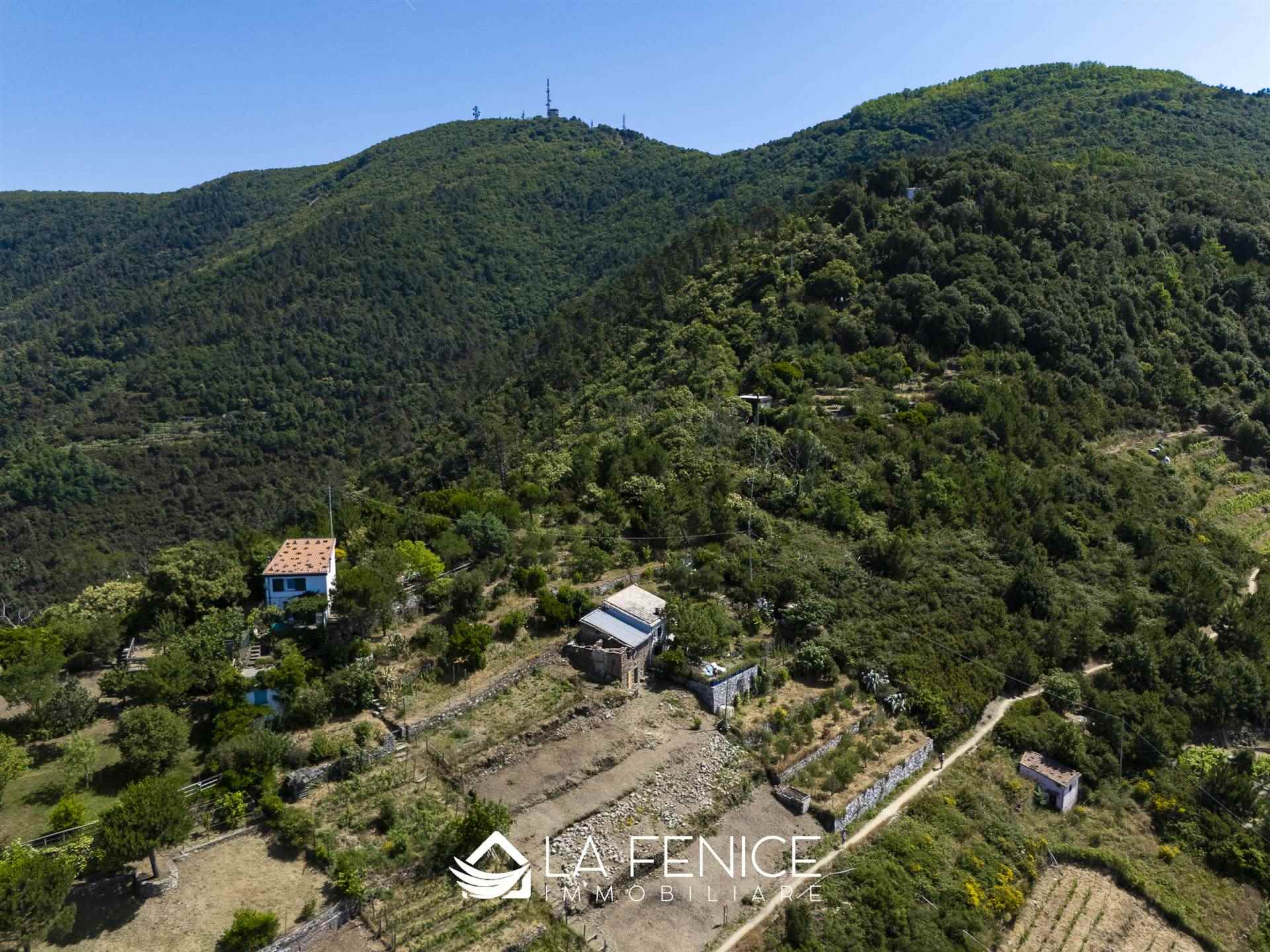 Rustico casale a Riomaggiore con 4 locali di 60 m2 - Foto