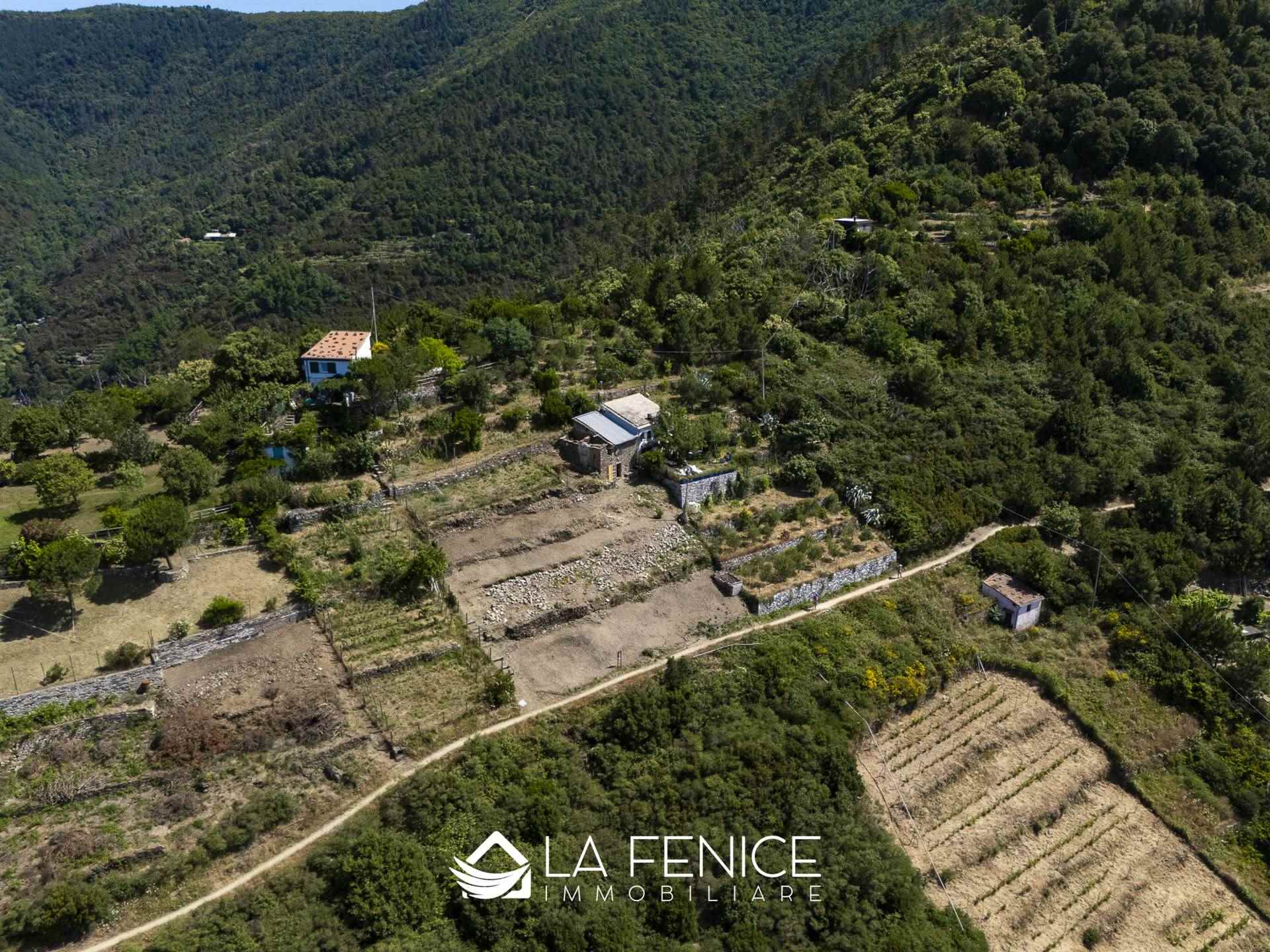 Rustico casale a Riomaggiore con 4 locali di 60 m2 - Foto