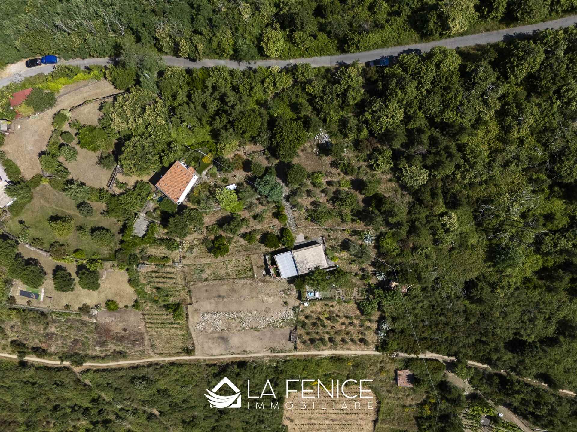 Rustico casale a Riomaggiore con 4 locali di 60 m2 - Foto