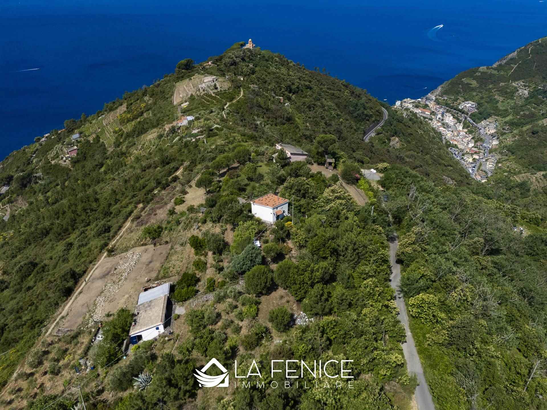 Rustico casale a Riomaggiore con 4 locali di 60 m2 - Foto