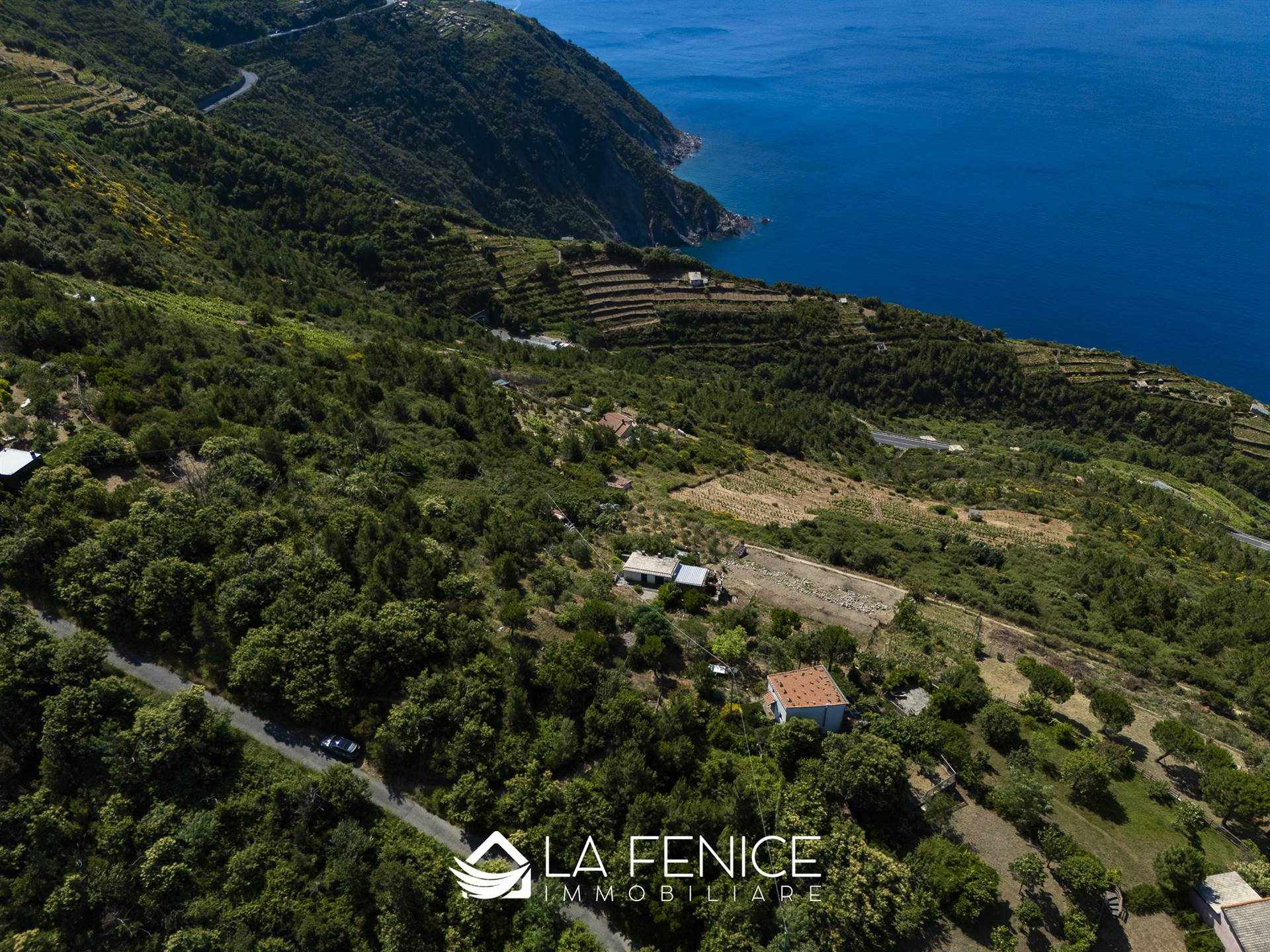 Rustico casale a Riomaggiore con 4 locali di 60 m2 - Foto