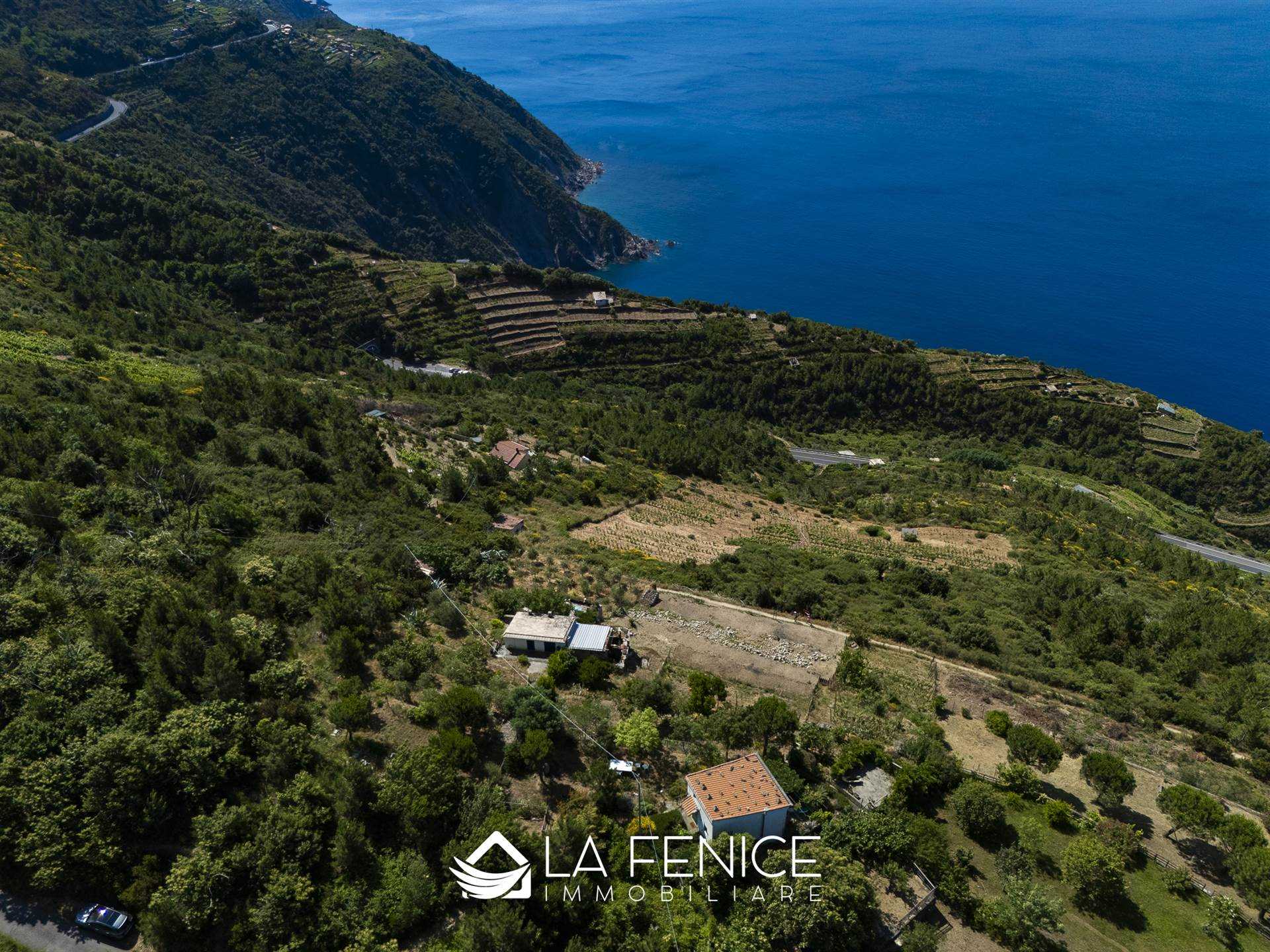 Rustico casale a Riomaggiore con 4 locali di 60 m2 - Foto