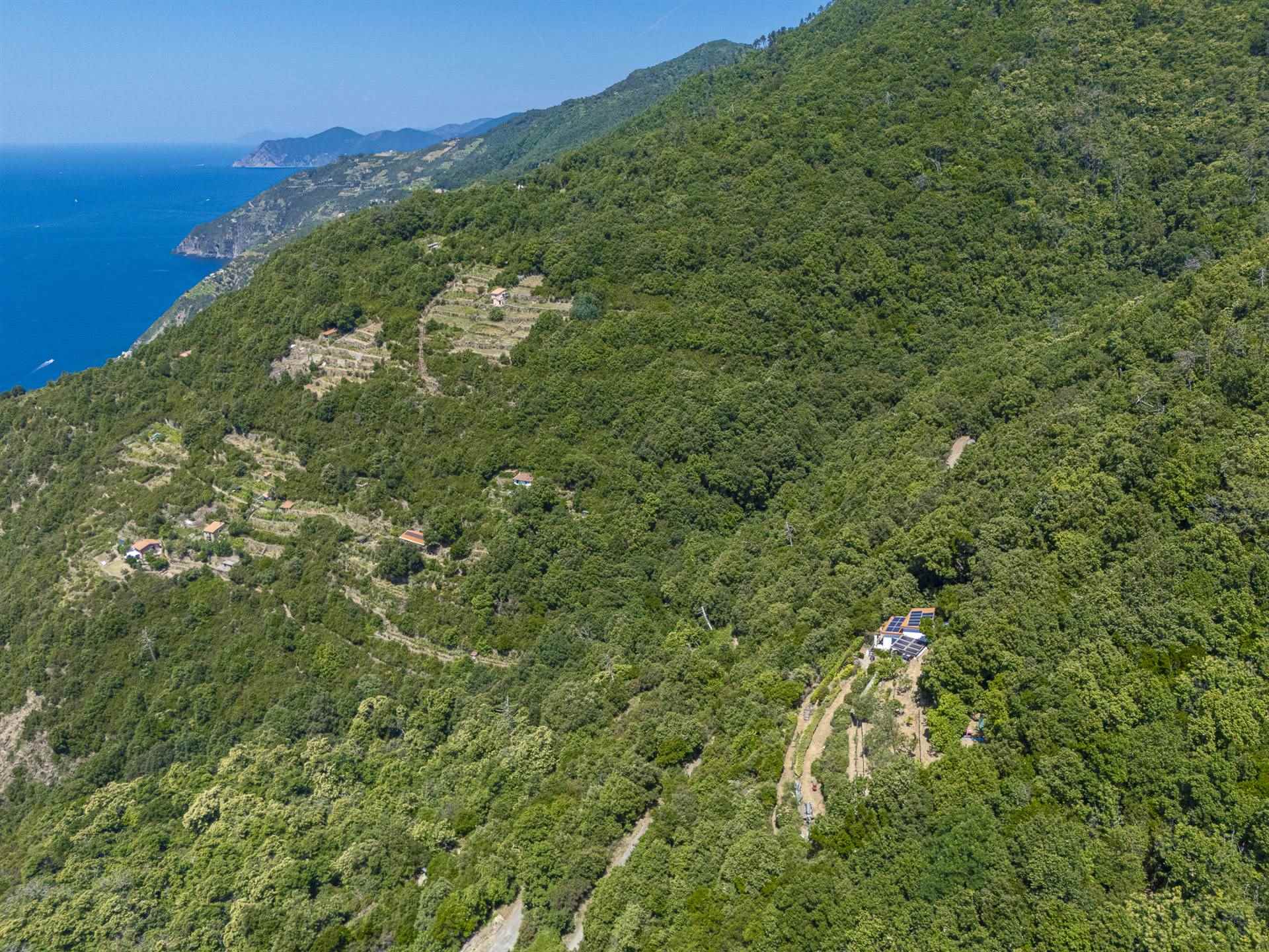 Rustico casale a La spezia con 4 locali di 70 m2 - Foto