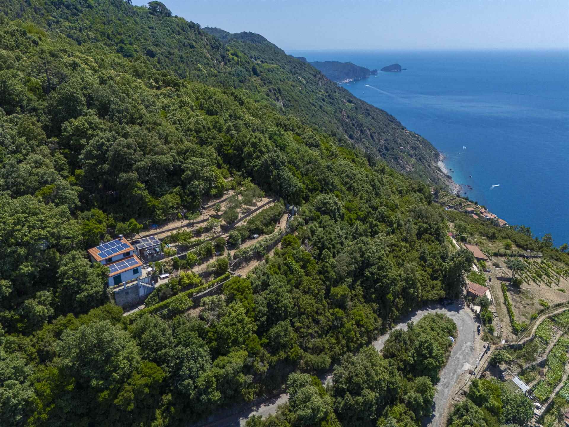 Rustico casale a La spezia con 4 locali di 70 m2 - Foto