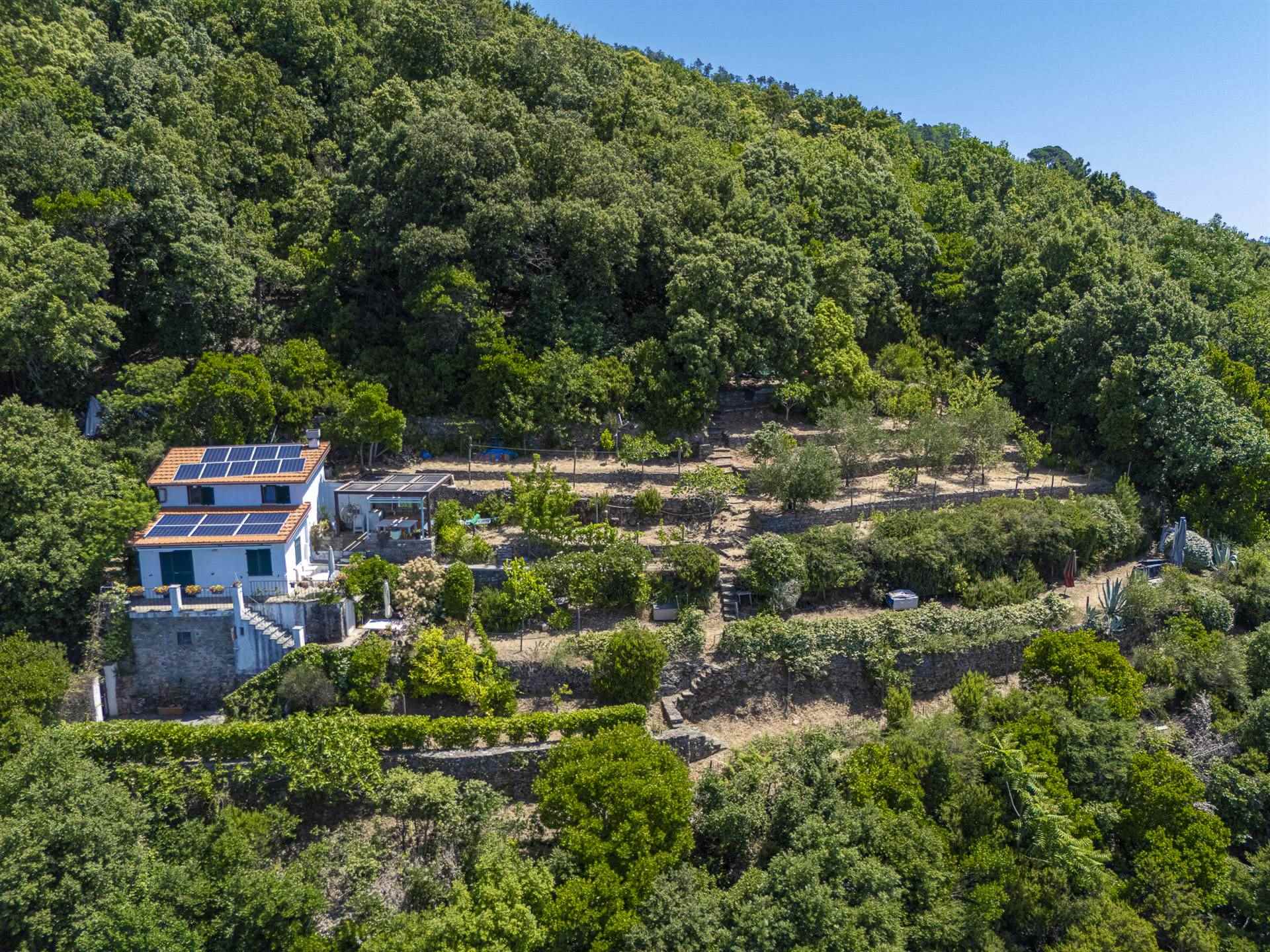 Rustico casale a La spezia con 4 locali di 70 m2 - Foto