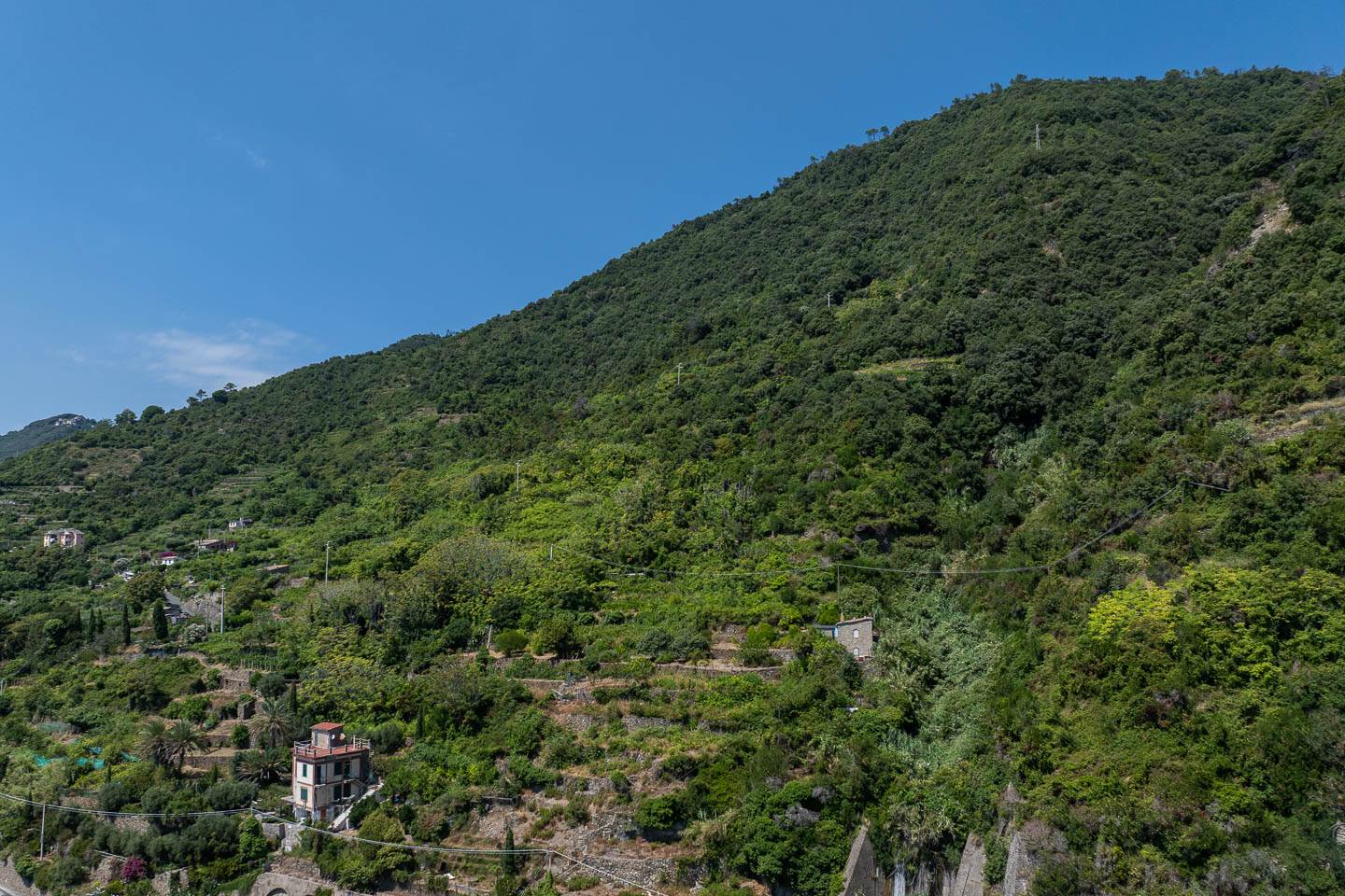 Rustico casale a Vernazza con 4 locali di 76 m2 - Foto Rustico casale a Vernazza con 4 locali di 76 m2 - Foto