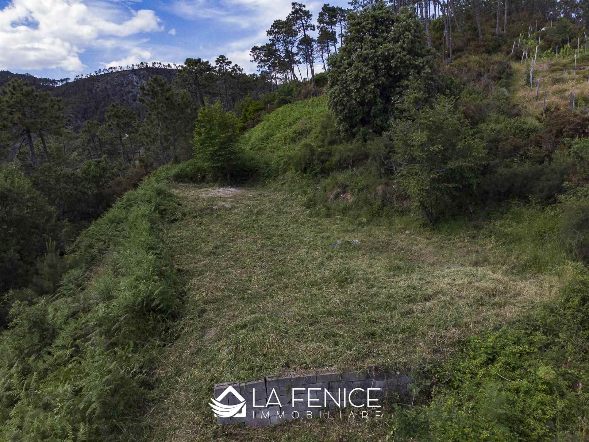 Rustico casale a Monterosso al mare con 5 locali di 50 m2 - Foto Rustico casale a Monterosso al mare con 5 locali di 50 m2 - Foto