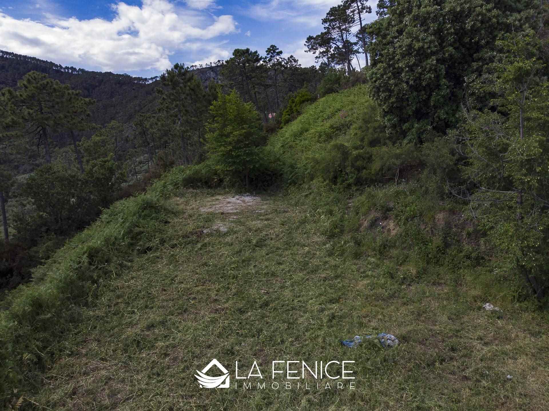 Rustico casale a Monterosso al mare con 5 locali di 50 m2 - Foto Rustico casale a Monterosso al mare con 5 locali di 50 m2 - Foto