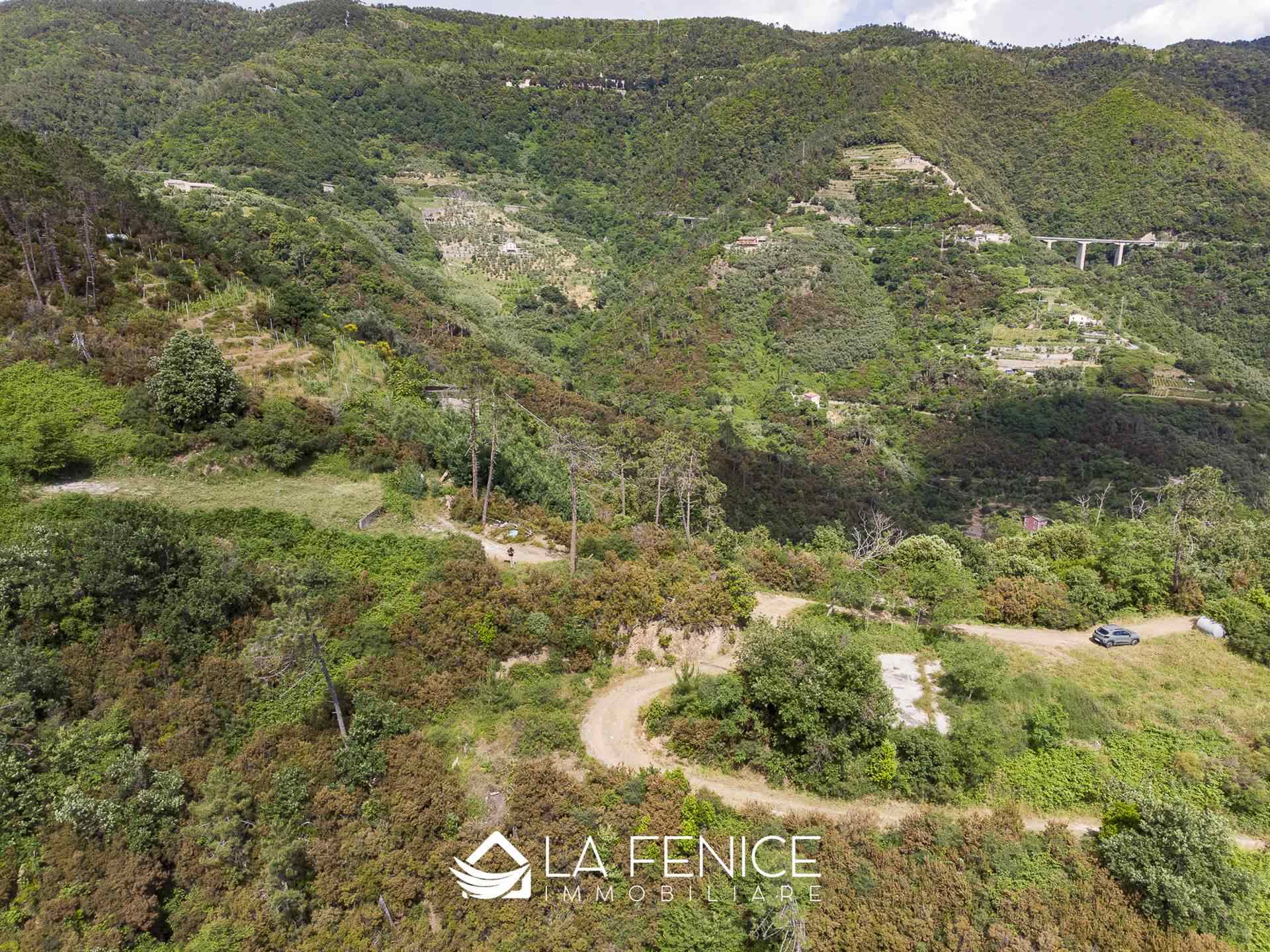 Rustico casale a Monterosso al mare con 5 locali di 50 m2 - Foto Rustico casale a Monterosso al mare con 5 locali di 50 m2 - Foto