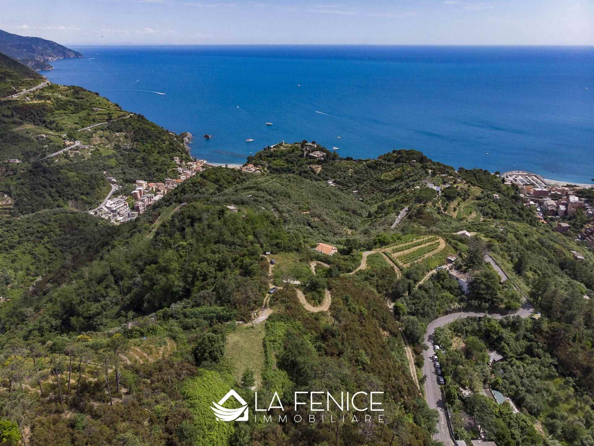 Rustico casale a Monterosso al mare con 5 locali di 50 m2 - Foto Rustico casale a Monterosso al mare con 5 locali di 50 m2 - Foto