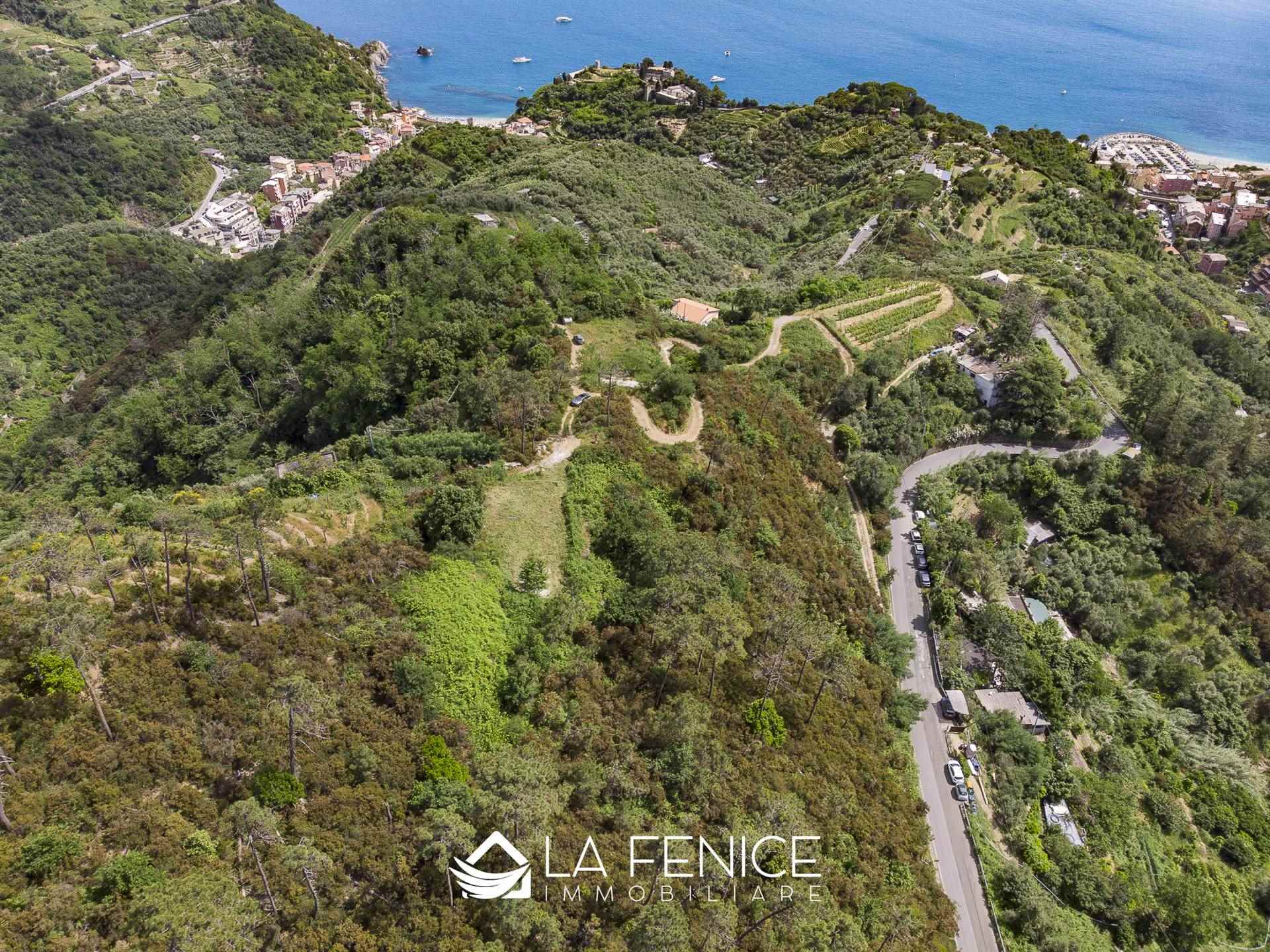 Rustico casale a Monterosso al mare con 5 locali di 50 m2 - Foto Rustico casale a Monterosso al mare con 5 locali di 50 m2 - Foto