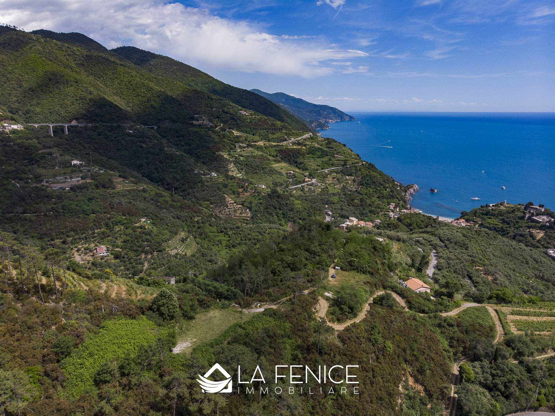 Rustico casale a Monterosso al mare con 5 locali di 50 m2 - Foto Rustico casale a Monterosso al mare con 5 locali di 50 m2 - Foto