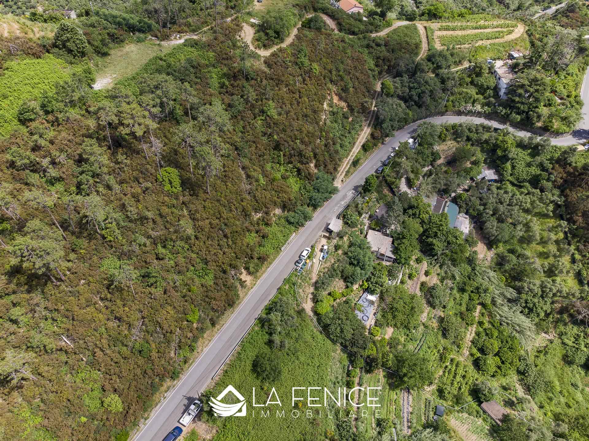 Rustico casale a Monterosso al mare con 5 locali di 50 m2 - Foto Rustico casale a Monterosso al mare con 5 locali di 50 m2 - Foto