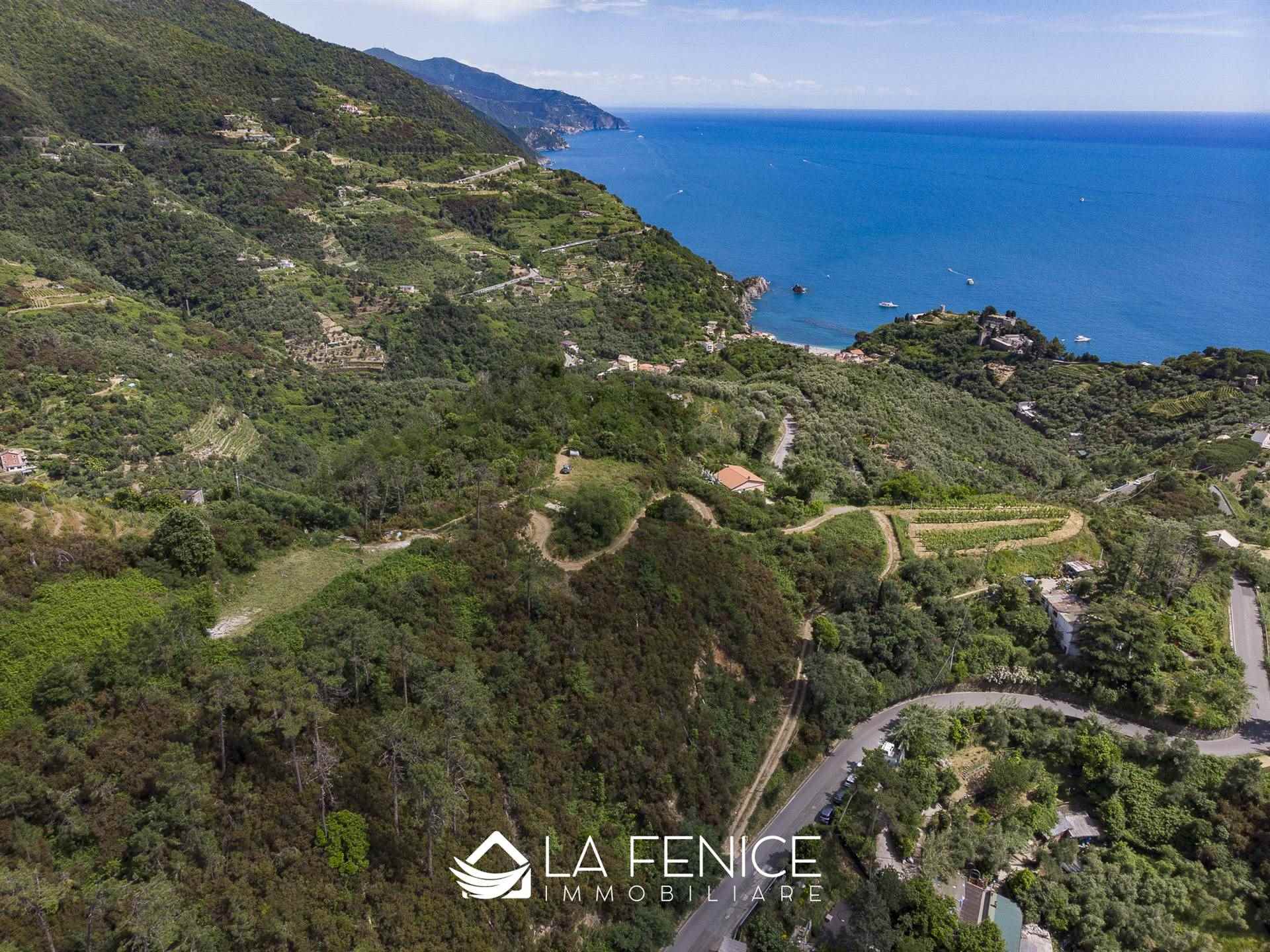 Rustico casale a Monterosso al mare con 5 locali di 50 m2 - Foto Rustico casale a Monterosso al mare con 5 locali di 50 m2 - Foto