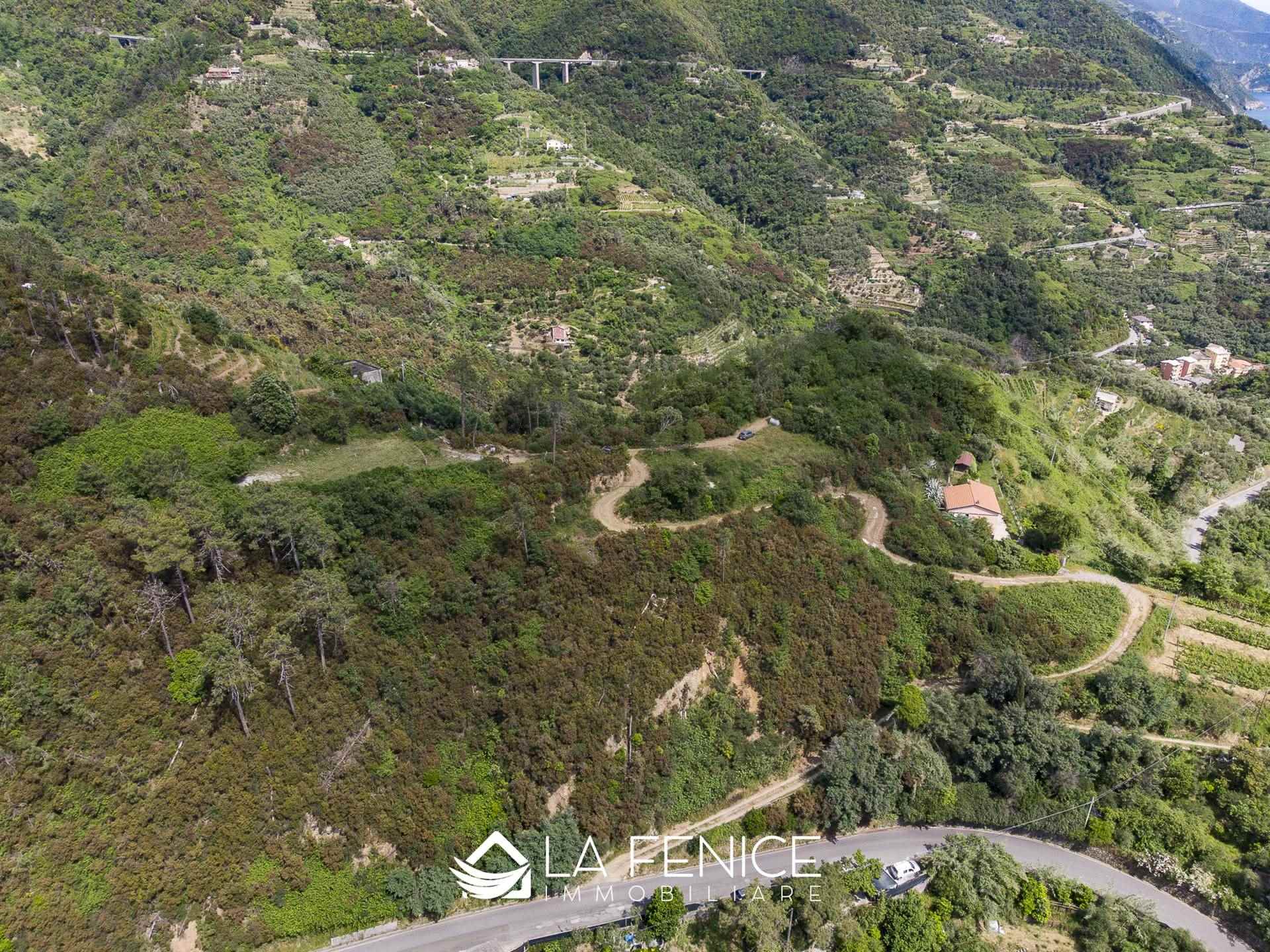 Rustico casale a Monterosso al mare con 5 locali di 50 m2 - Foto Rustico casale a Monterosso al mare con 5 locali di 50 m2 - Foto