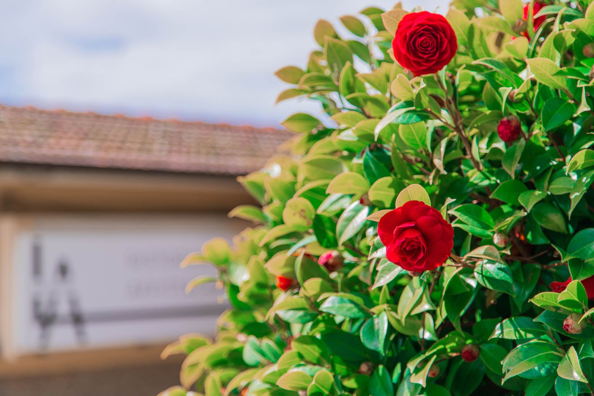 Villa a La spezia con 12 locali di 200 m2 - Foto