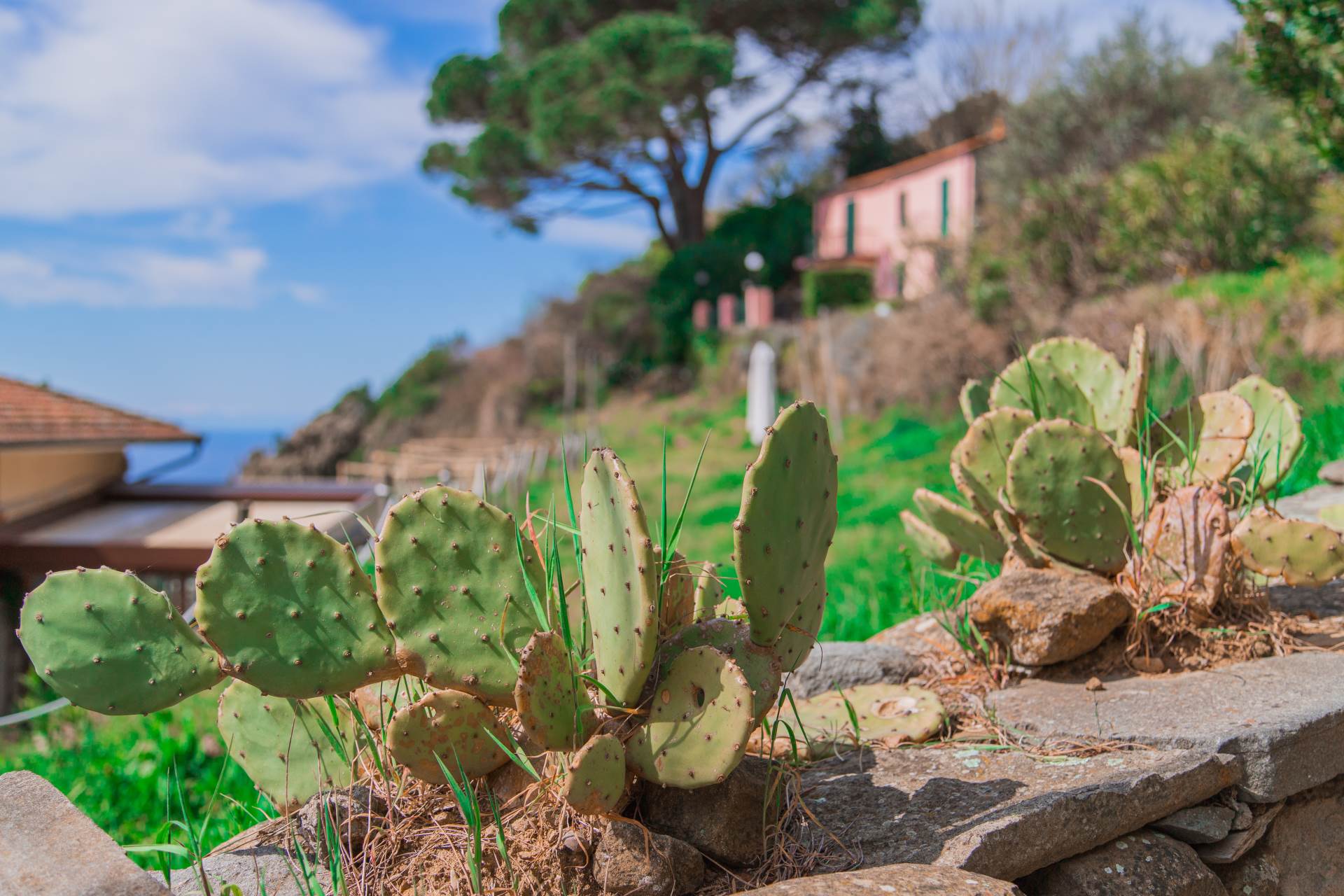 Villa a Riomaggiore con 12 locali di 200 m2 - Foto