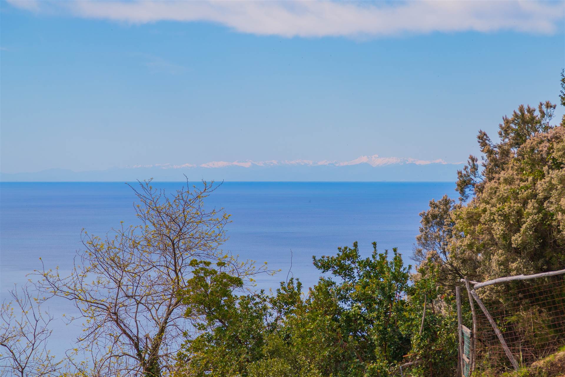 Villa a Riomaggiore con 12 locali di 200 m2 - Foto