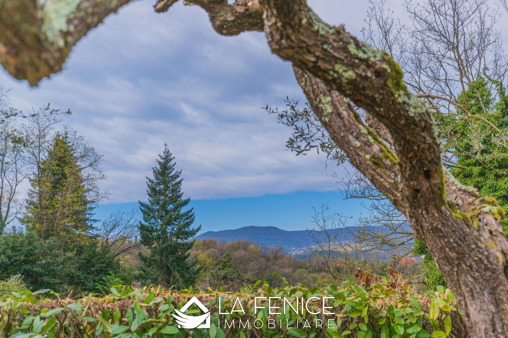 Villa a Vezzano ligure con 12 locali di 264 m2 - Foto