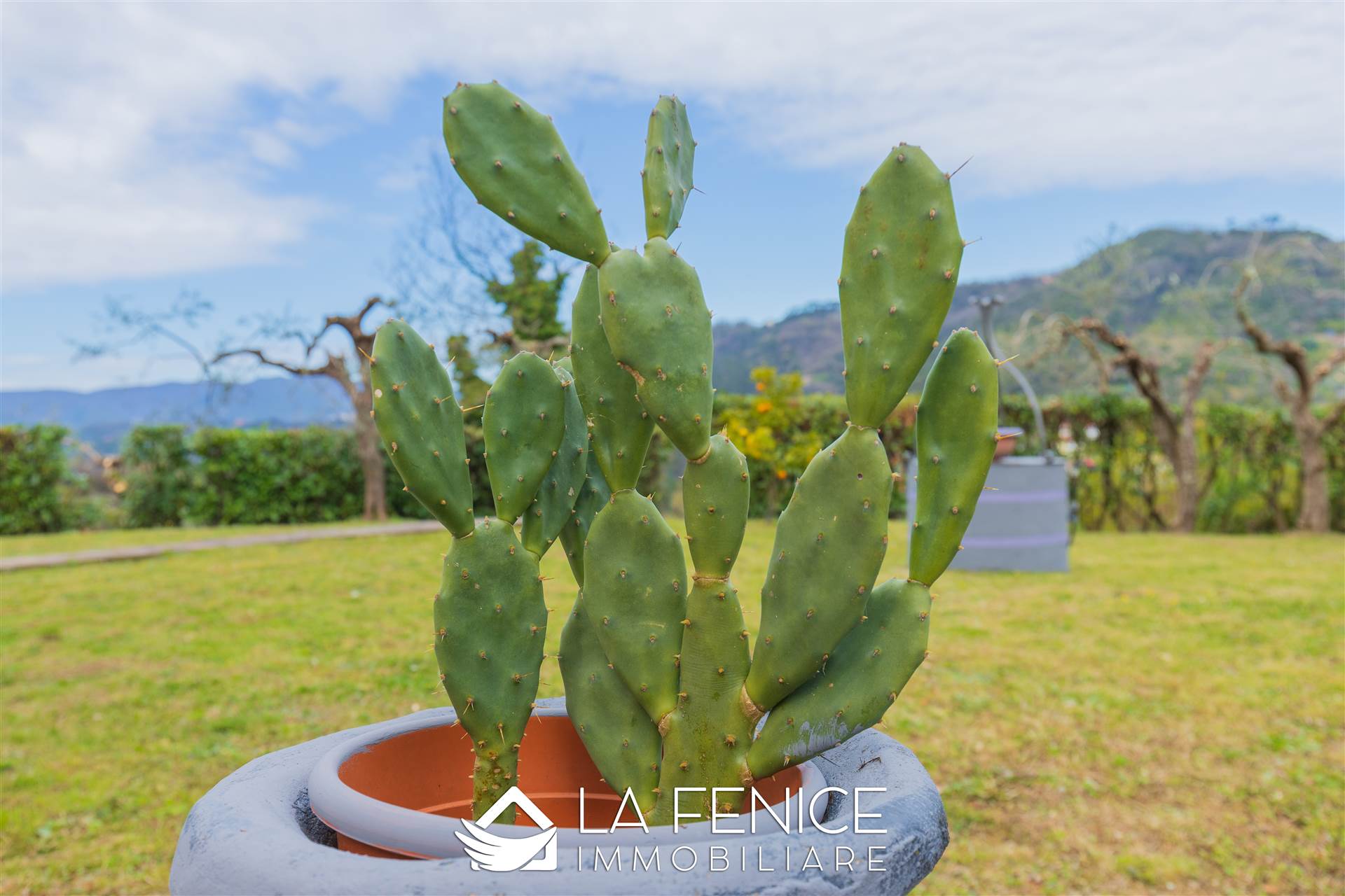 Villa a Vezzano ligure con 12 locali di 264 m2 - Foto