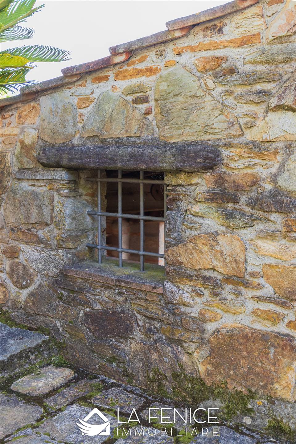 Villa a Montignoso con 8 locali di 400 m2 - Foto