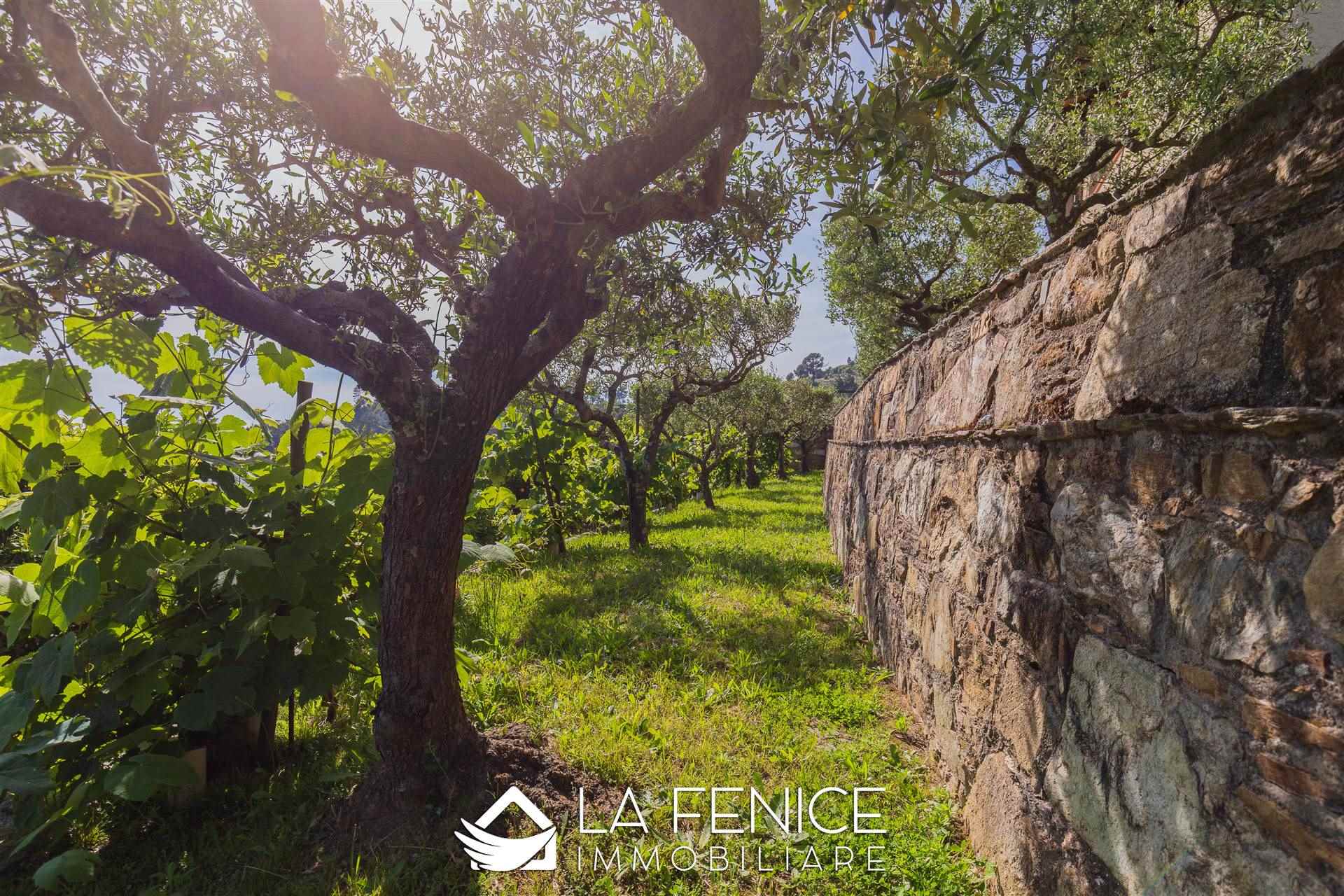 Villa a Montignoso con 8 locali di 400 m2 - Foto