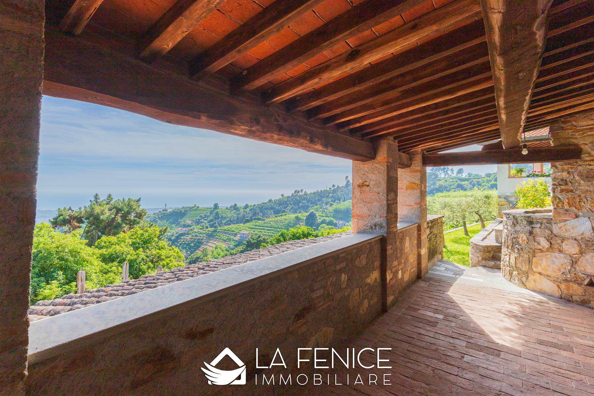 Villa a Montignoso con 8 locali di 400 m2 - Foto